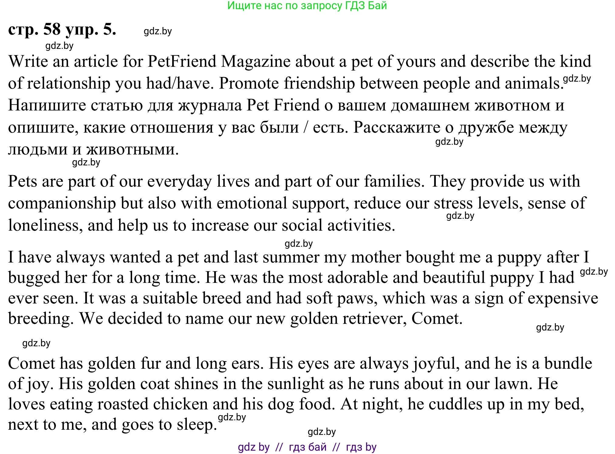 Английский язык (english), 9 класс Учебник (Student's book), авторы: Демченко Наталья Валентиновна, Юхнель Наталья Валентиновна, Романчук Вероника Романовна, Малиновская Елена Александровна, Севрюкова Татьяна Юрьевна, издательство Вышэйшая школа, Минск, 2022, белого цвета, Часть ( Part) 1, страница 58, номер 5, Решение