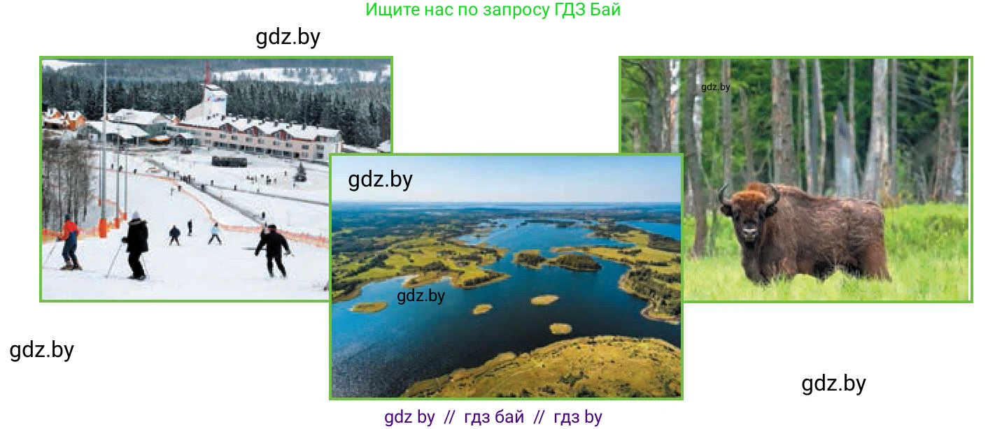 Английский язык (english), 9 класс Учебник (Student's book), авторы: Лапицкая Людмила Михайловна (Lapitskaya Ludmila), Демченко Наталья Валентиновна, Юхнель Наталья Валентиновна, Волков Андрей Валерьевич, издательство Адукацыя i выхаванне, Минск, 2025, зелёного цвета, страница 155, номер 1, Условие (продолжение 2)