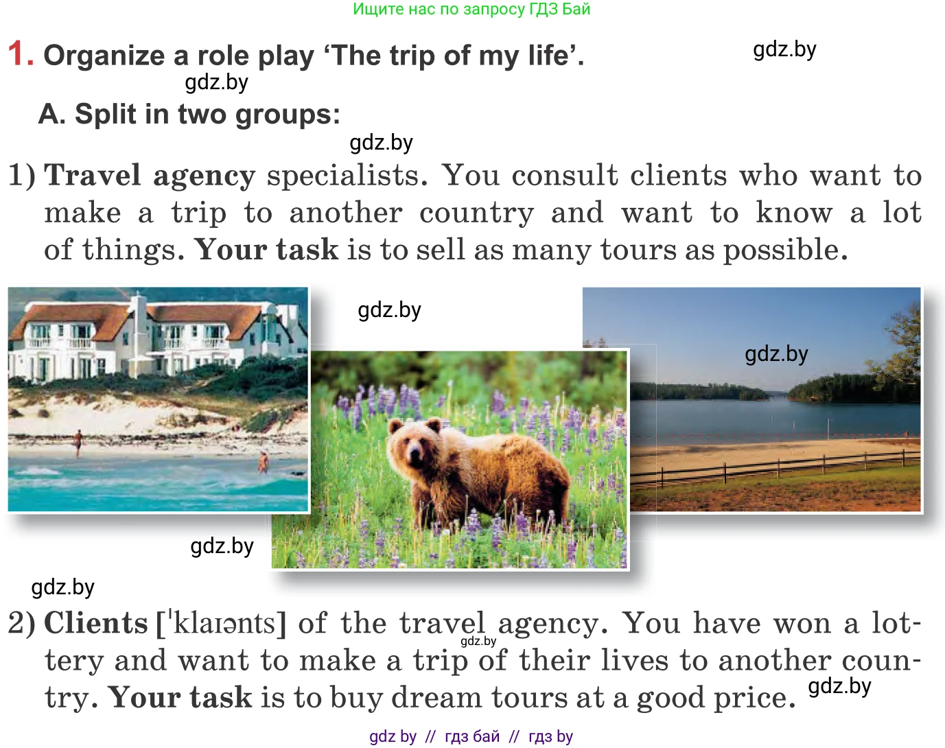 Английский язык (english), 9 класс Учебник (Student's book), авторы: Лапицкая Людмила Михайловна (Lapitskaya Ludmila), Демченко Наталья Валентиновна, Волков Андрей Валерьевич, Калишевич Алла Ивановна, Севрюкова Татьяна Юрьевна, Юхнель Наталья Валентиновна, издательство Вышэйшая школа, Минск, 2018, страница 213, номер 1, Условие