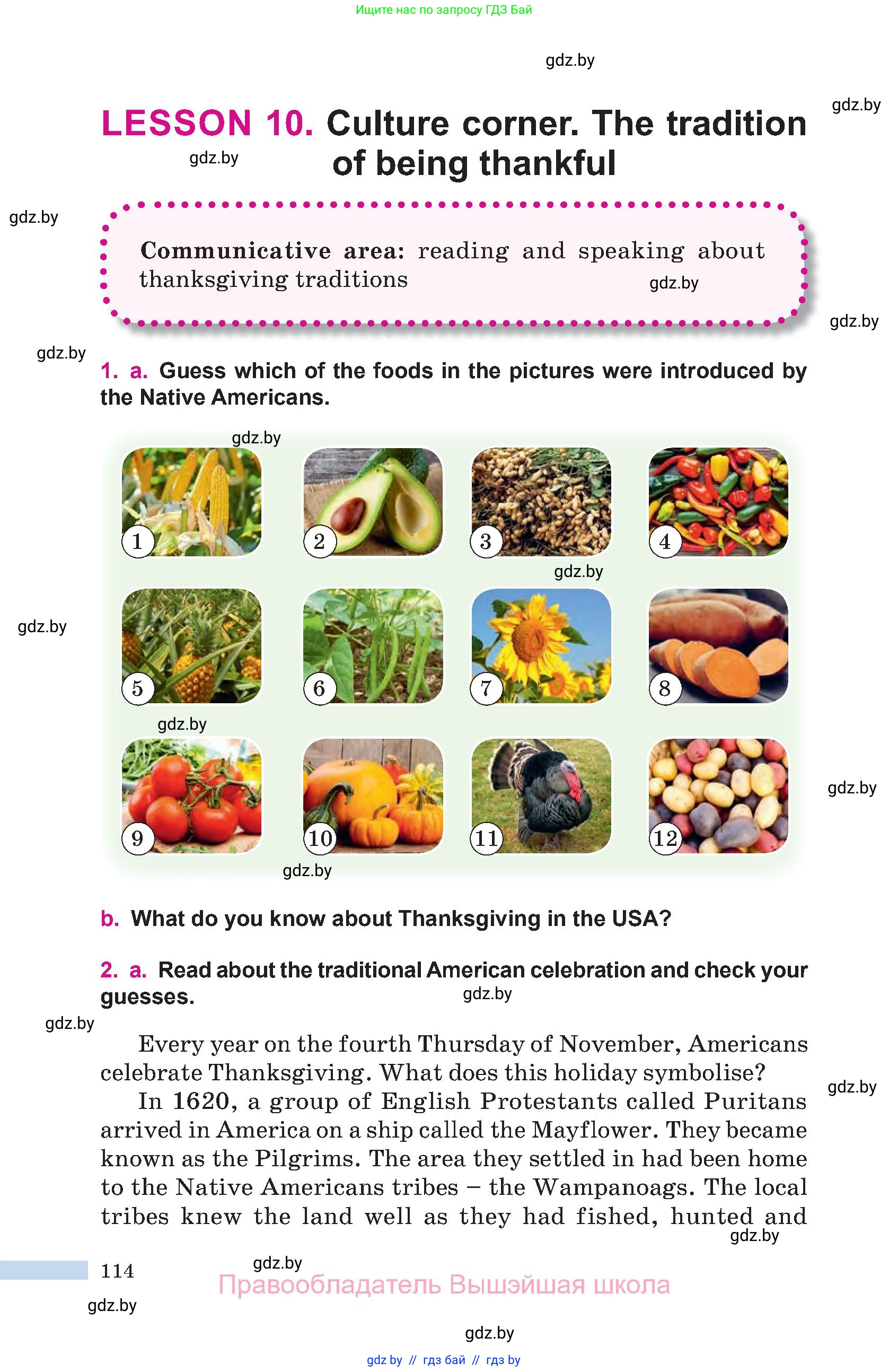 Английский язык (english), 10 класс Учебник (Student's book), авторы: Демченко Наталья Валентиновна, Юхнель Наталья Валентиновна, Севрюкова Татьяна Юрьевна, Бушуева Эдите Владиславовна, Лапицкая Людмила Михайловна (Lapitskaya Ludmila), издательство Вышэйшая школа, Минск, 2021, голубого цвета, Часть ( Part) 1, страница 114