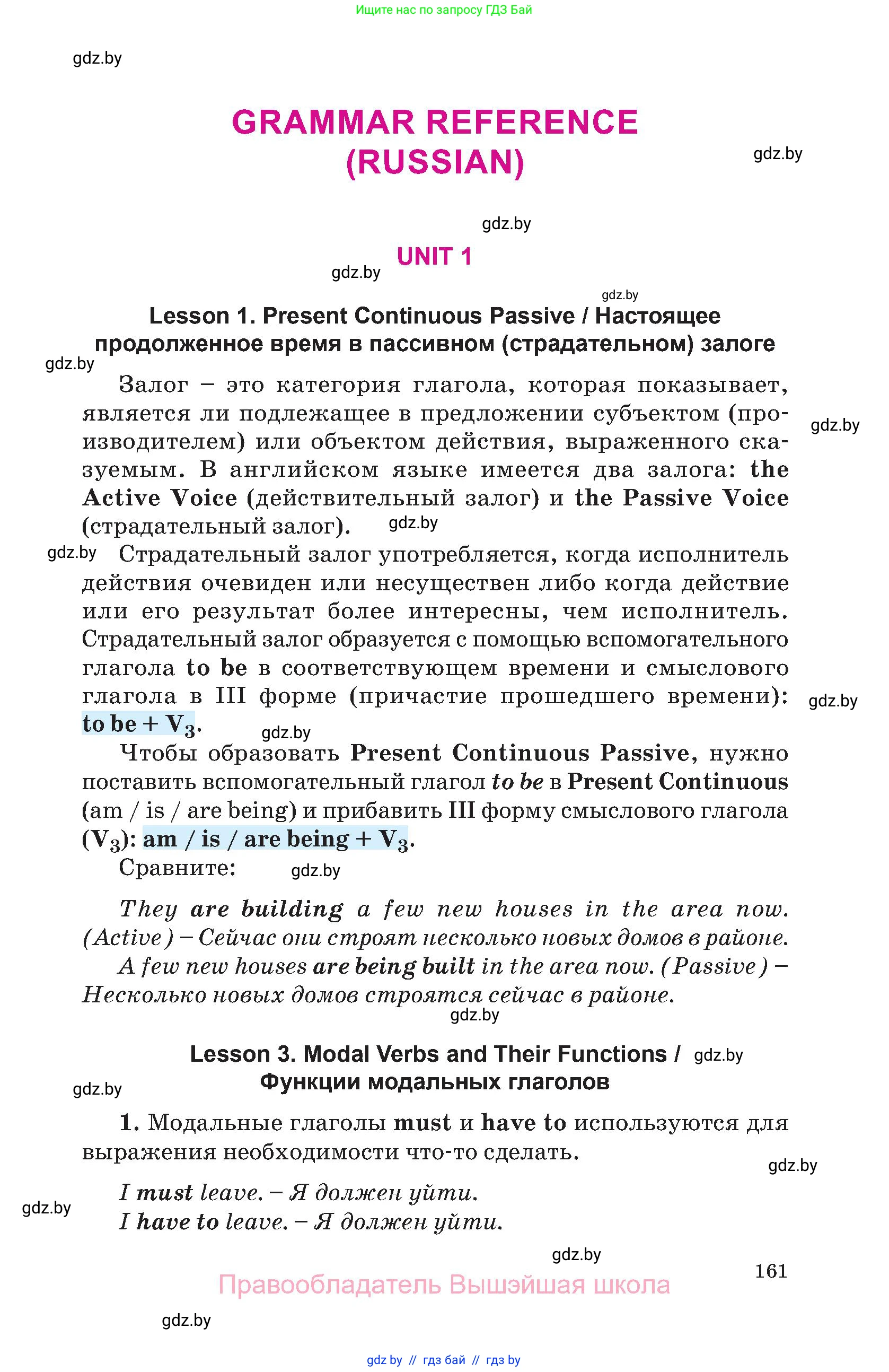 Английский язык (english), 10 класс Учебник (Student's book), авторы: Демченко Наталья Валентиновна, Юхнель Наталья Валентиновна, Севрюкова Татьяна Юрьевна, Бушуева Эдите Владиславовна, Лапицкая Людмила Михайловна (Lapitskaya Ludmila), издательство Вышэйшая школа, Минск, 2021, голубого цвета, страница 161
