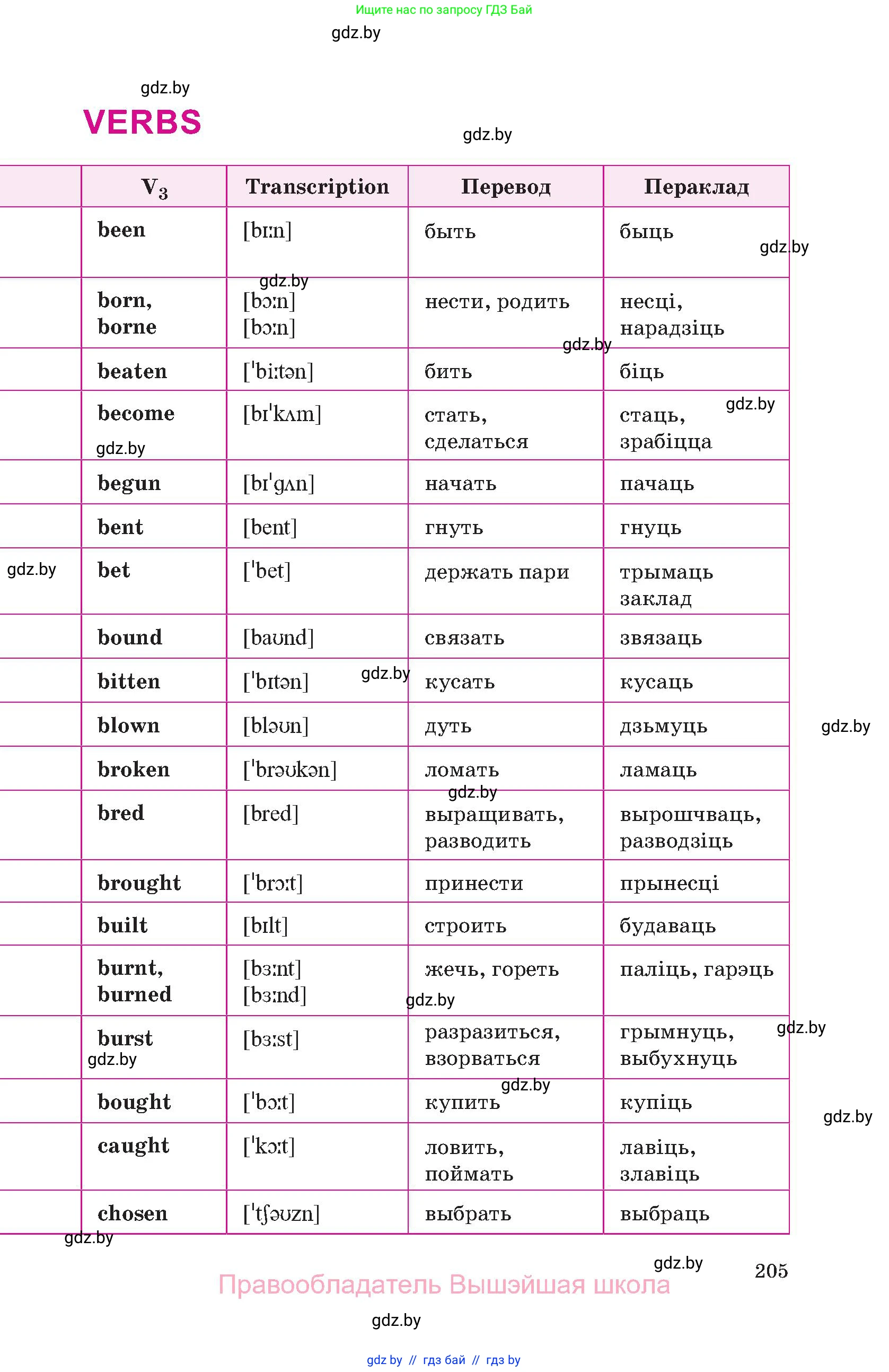Английский язык (english), 10 класс Учебник (Student's book), авторы: Демченко Наталья Валентиновна, Юхнель Наталья Валентиновна, Севрюкова Татьяна Юрьевна, Бушуева Эдите Владиславовна, Лапицкая Людмила Михайловна (Lapitskaya Ludmila), издательство Вышэйшая школа, Минск, 2021, голубого цвета, страница 205