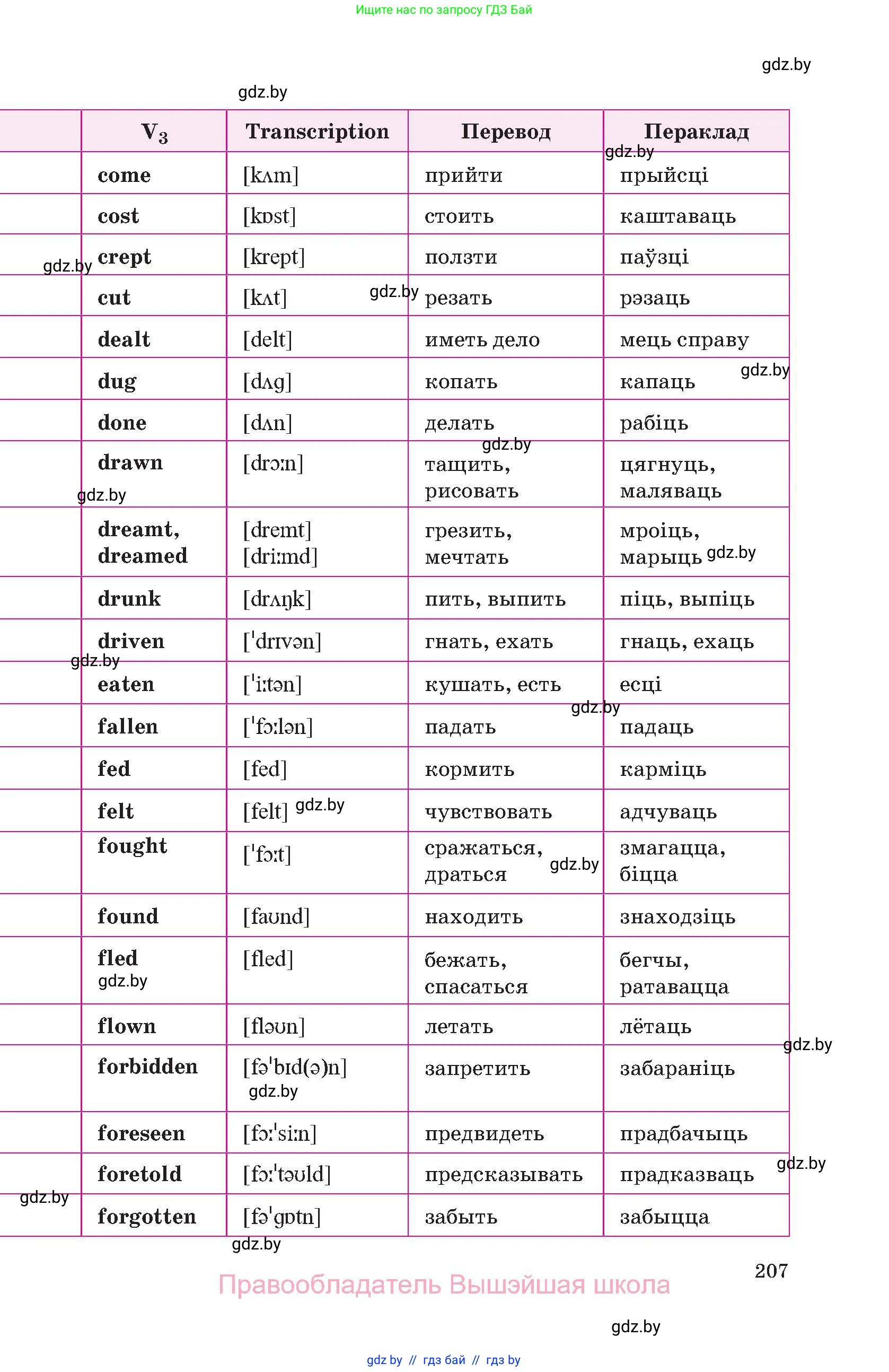 Английский язык (english), 10 класс Учебник (Student's book), авторы: Демченко Наталья Валентиновна, Юхнель Наталья Валентиновна, Севрюкова Татьяна Юрьевна, Бушуева Эдите Владиславовна, Лапицкая Людмила Михайловна (Lapitskaya Ludmila), издательство Вышэйшая школа, Минск, 2021, голубого цвета, страница 207