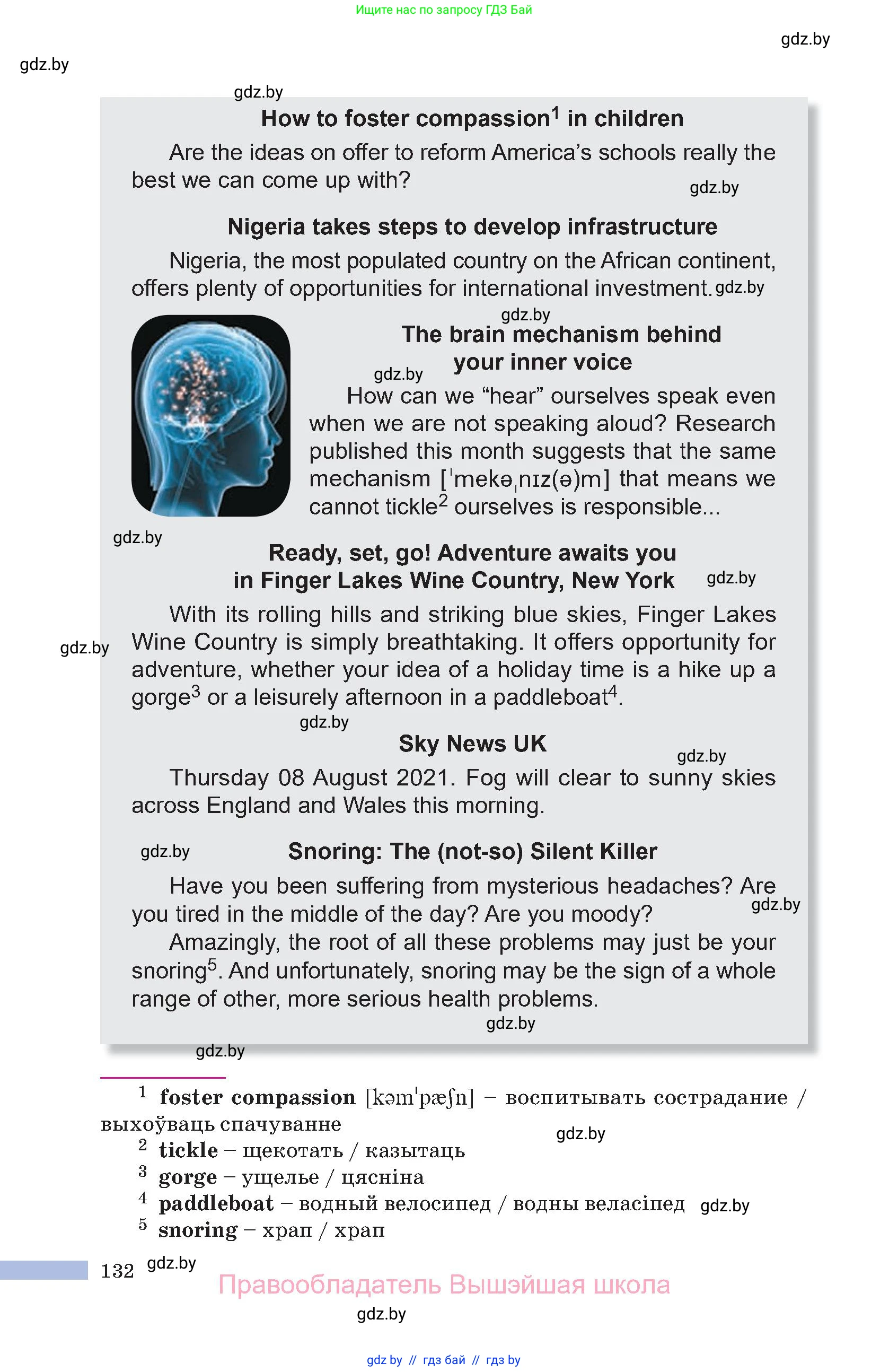 Английский язык (english), 10 класс Учебник (Student's book), авторы: Демченко Наталья Валентиновна, Юхнель Наталья Валентиновна, Севрюкова Татьяна Юрьевна, Бушуева Эдите Владиславовна, Лапицкая Людмила Михайловна (Lapitskaya Ludmila), издательство Вышэйшая школа, Минск, 2021, голубого цвета, страница 132