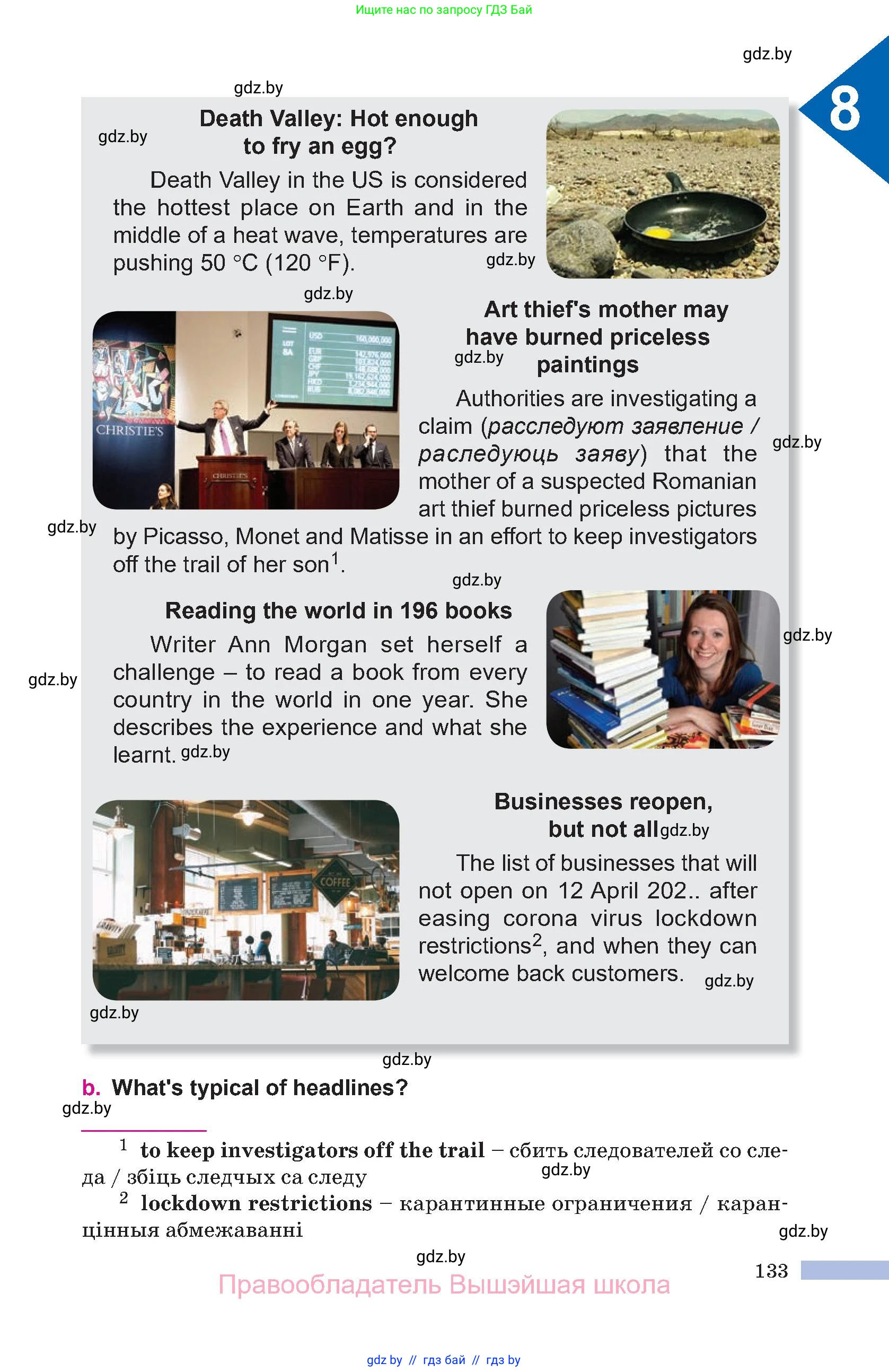 Английский язык (english), 10 класс Учебник (Student's book), авторы: Демченко Наталья Валентиновна, Юхнель Наталья Валентиновна, Севрюкова Татьяна Юрьевна, Бушуева Эдите Владиславовна, Лапицкая Людмила Михайловна (Lapitskaya Ludmila), издательство Вышэйшая школа, Минск, 2021, голубого цвета, страница 133