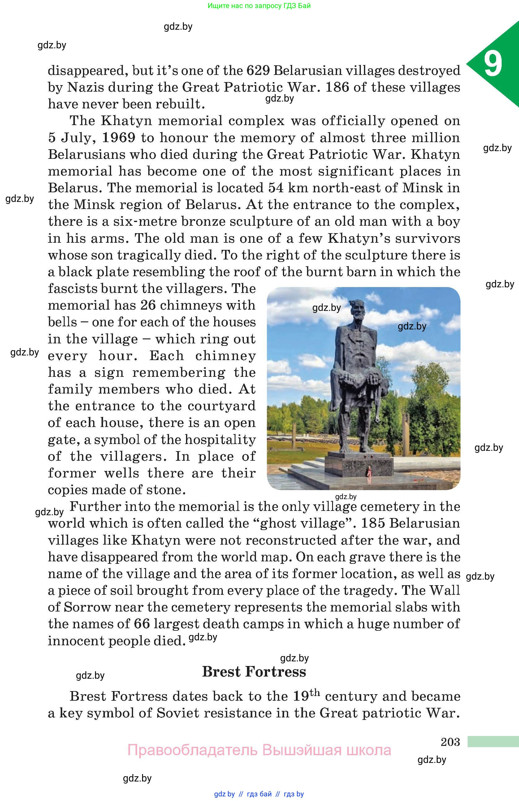 Английский язык (english), 10 класс Учебник (Student's book), авторы: Демченко Наталья Валентиновна, Юхнель Наталья Валентиновна, Севрюкова Татьяна Юрьевна, Бушуева Эдите Владиславовна, Лапицкая Людмила Михайловна (Lapitskaya Ludmila), издательство Вышэйшая школа, Минск, 2021, голубого цвета, страница 203