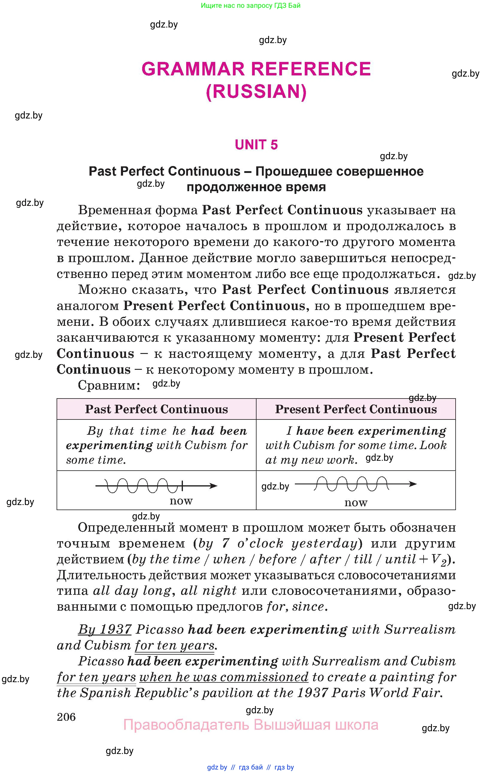 Английский язык (english), 10 класс Учебник (Student's book), авторы: Демченко Наталья Валентиновна, Юхнель Наталья Валентиновна, Севрюкова Татьяна Юрьевна, Бушуева Эдите Владиславовна, Лапицкая Людмила Михайловна (Lapitskaya Ludmila), издательство Вышэйшая школа, Минск, 2021, голубого цвета, страница 206