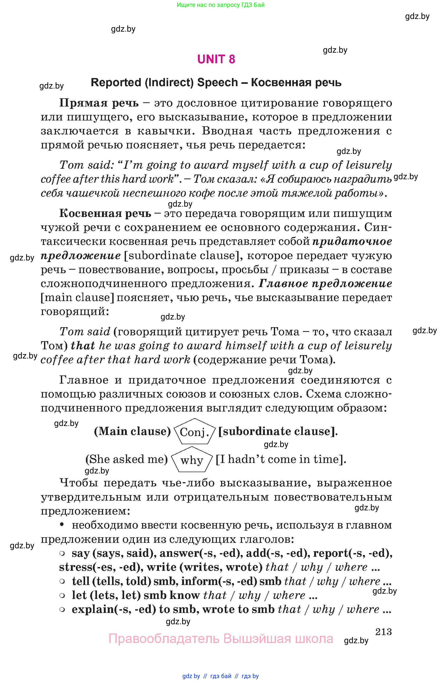 Английский язык (english), 10 класс Учебник (Student's book), авторы: Демченко Наталья Валентиновна, Юхнель Наталья Валентиновна, Севрюкова Татьяна Юрьевна, Бушуева Эдите Владиславовна, Лапицкая Людмила Михайловна (Lapitskaya Ludmila), издательство Вышэйшая школа, Минск, 2021, голубого цвета, страница 213