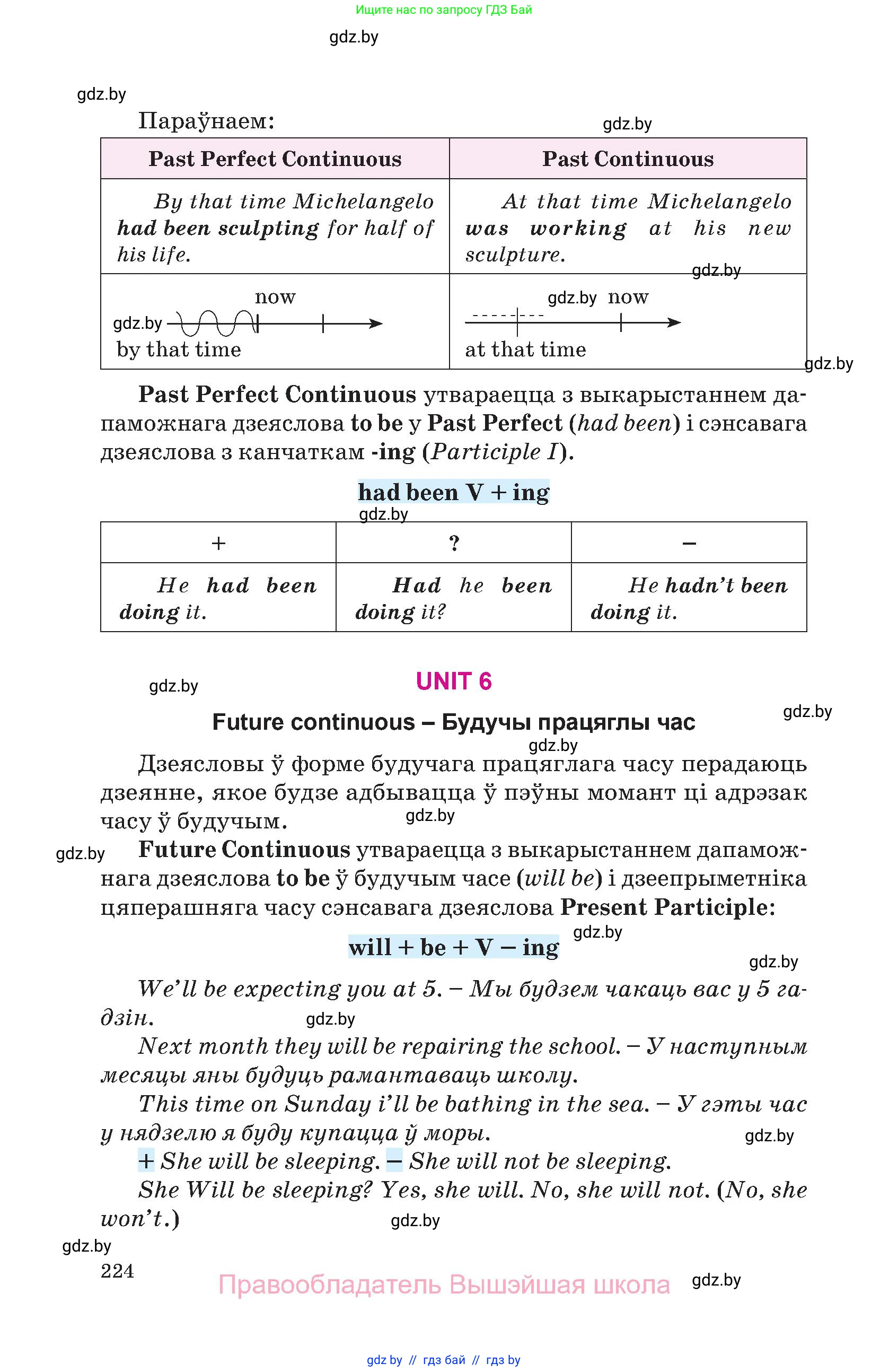 Английский язык (english), 10 класс Учебник (Student's book), авторы: Демченко Наталья Валентиновна, Юхнель Наталья Валентиновна, Севрюкова Татьяна Юрьевна, Бушуева Эдите Владиславовна, Лапицкая Людмила Михайловна (Lapitskaya Ludmila), издательство Вышэйшая школа, Минск, 2021, голубого цвета, страница 224