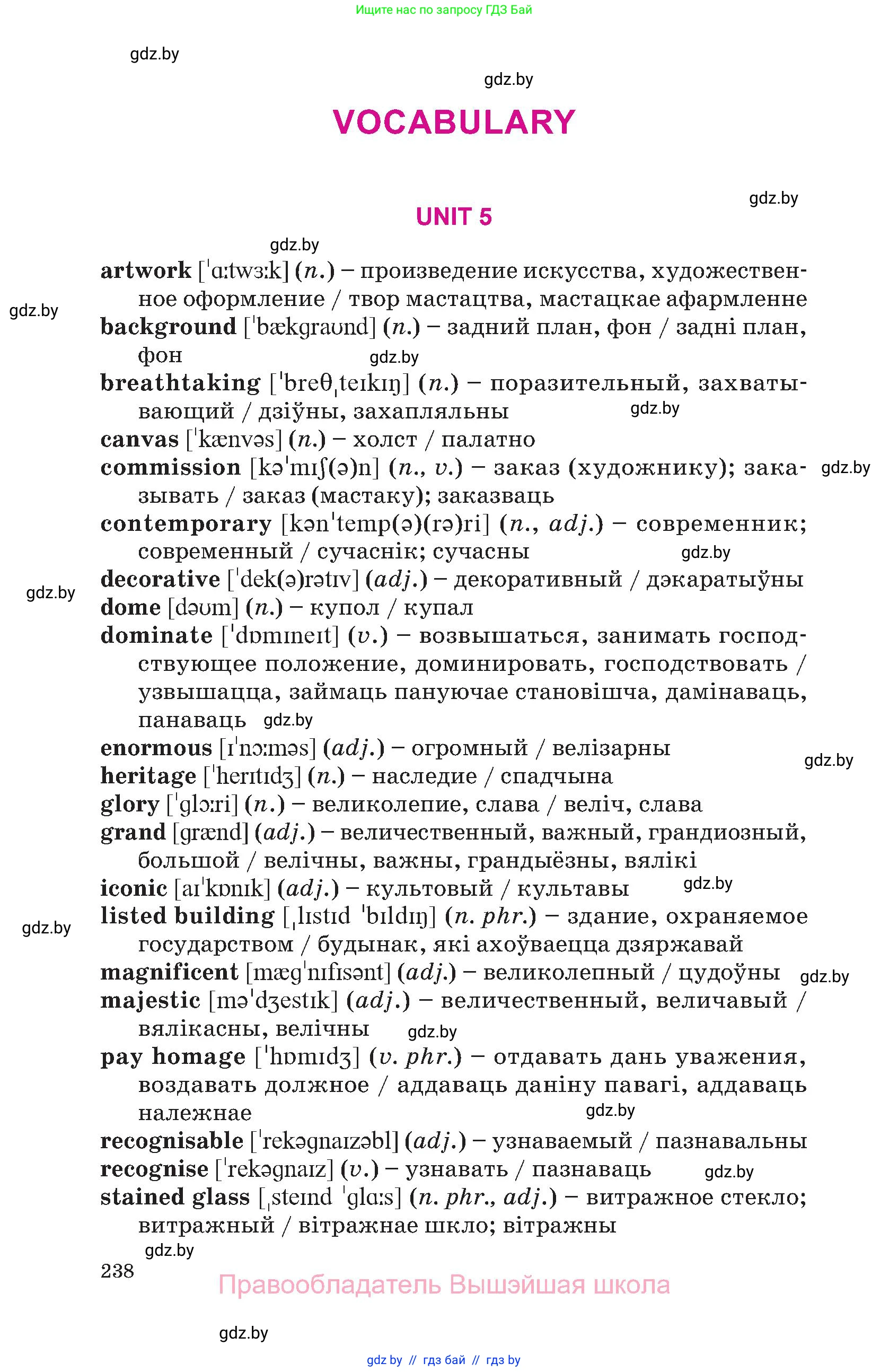Английский язык (english), 10 класс Учебник (Student's book), авторы: Демченко Наталья Валентиновна, Юхнель Наталья Валентиновна, Севрюкова Татьяна Юрьевна, Бушуева Эдите Владиславовна, Лапицкая Людмила Михайловна (Lapitskaya Ludmila), издательство Вышэйшая школа, Минск, 2021, голубого цвета, страница 238