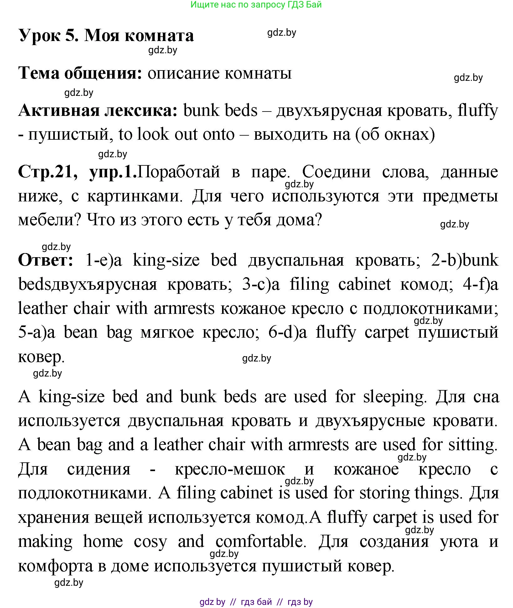 Английский язык (english), 10 класс Учебник (Student's book), авторы: Демченко Наталья Валентиновна, Юхнель Наталья Валентиновна, Севрюкова Татьяна Юрьевна, Бушуева Эдите Владиславовна, Лапицкая Людмила Михайловна (Lapitskaya Ludmila), издательство Вышэйшая школа, Минск, 2021, голубого цвета, Часть ( Part) 1, страница 21, номер 1, Решение
