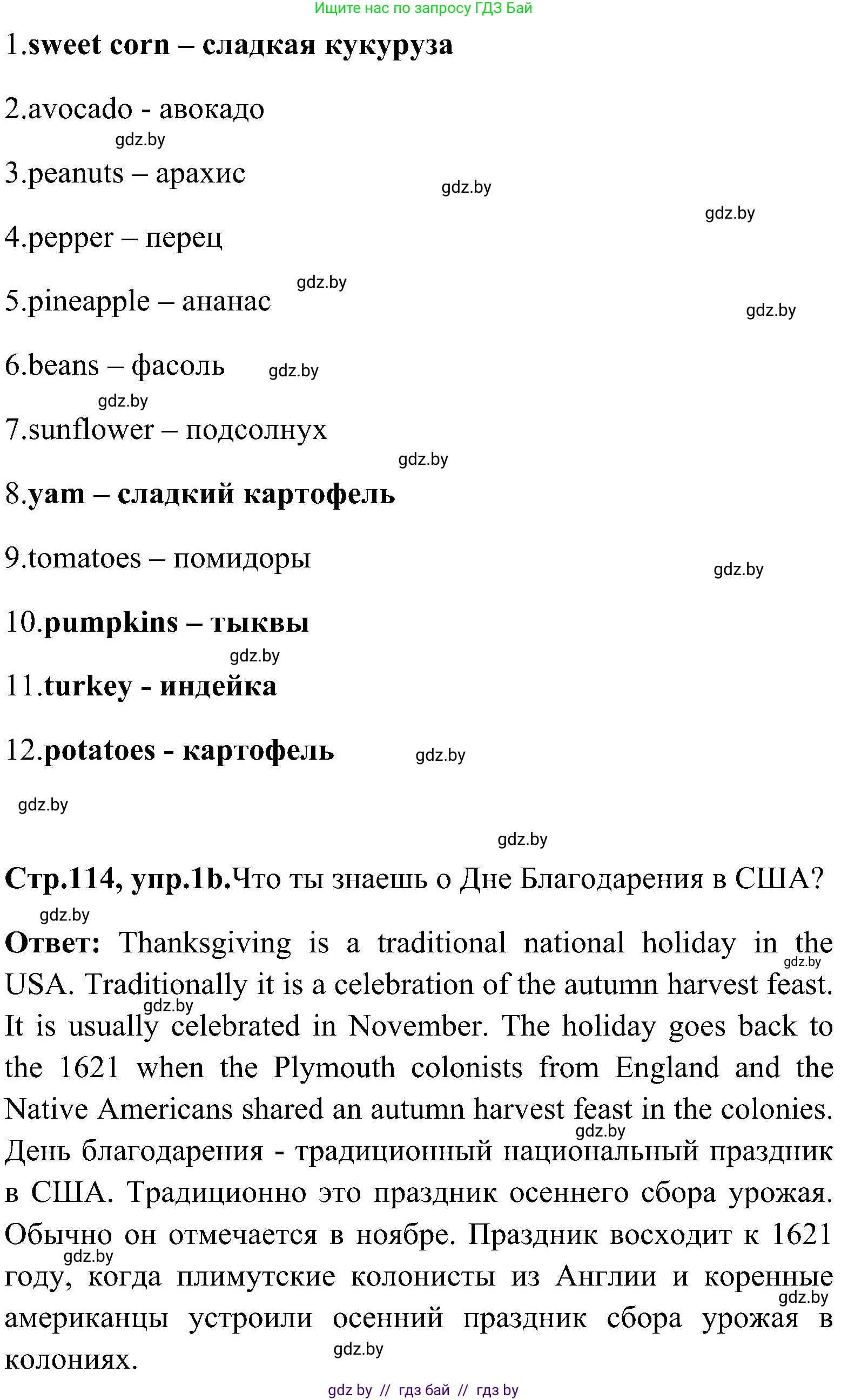 Английский язык (english), 10 класс Учебник (Student's book), авторы: Демченко Наталья Валентиновна, Юхнель Наталья Валентиновна, Севрюкова Татьяна Юрьевна, Бушуева Эдите Владиславовна, Лапицкая Людмила Михайловна (Lapitskaya Ludmila), издательство Вышэйшая школа, Минск, 2021, голубого цвета, Часть ( Part) 1, страница 114, номер 1, Решение (продолжение 2)