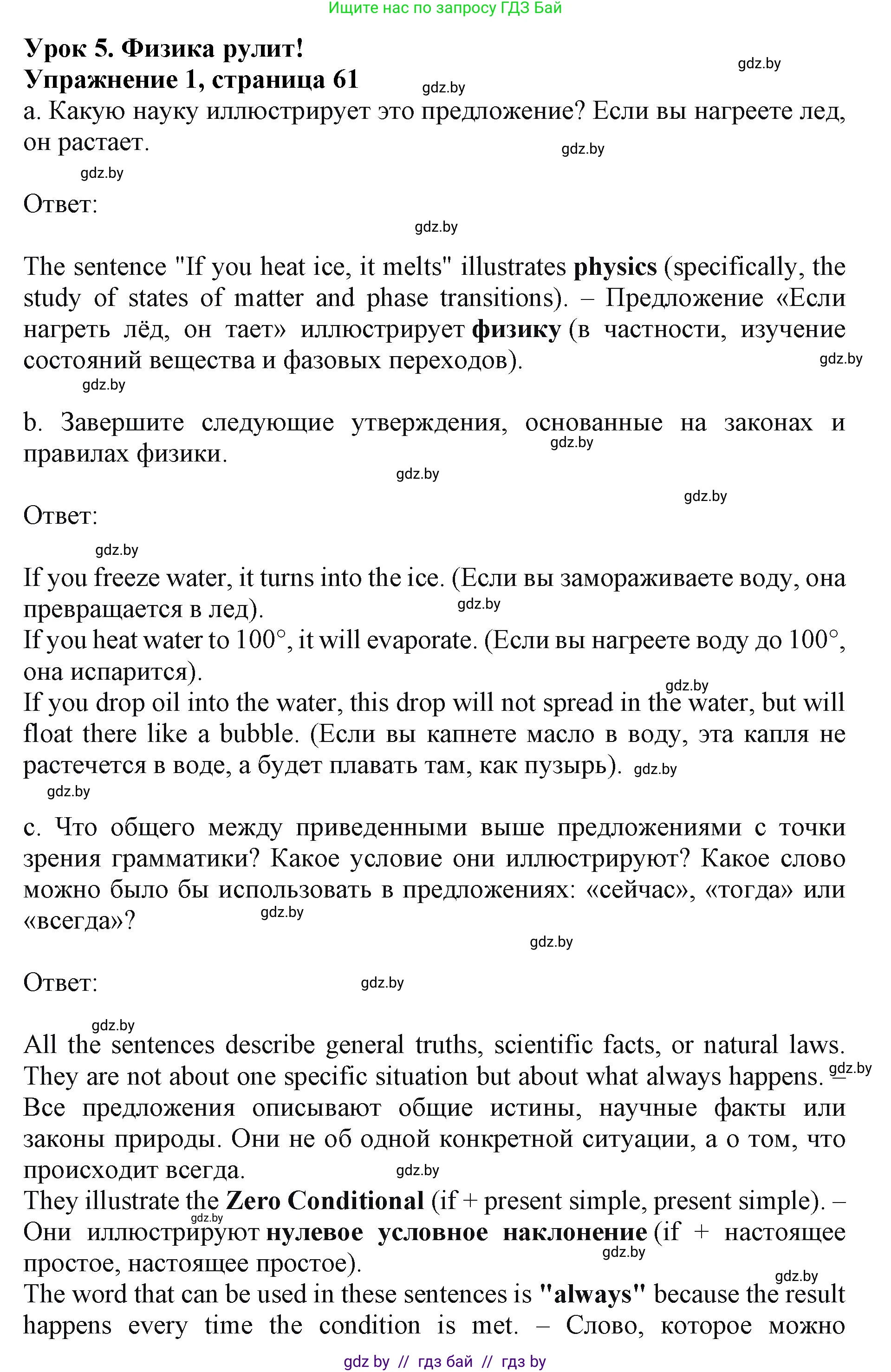 Английский язык (english), 10 класс Учебник (Student's book), авторы: Демченко Наталья Валентиновна, Юхнель Наталья Валентиновна, Севрюкова Татьяна Юрьевна, Бушуева Эдите Владиславовна, Лапицкая Людмила Михайловна (Lapitskaya Ludmila), издательство Вышэйшая школа, Минск, 2021, голубого цвета, Часть ( Part) 2, страница 61, номер 1, Решение 1