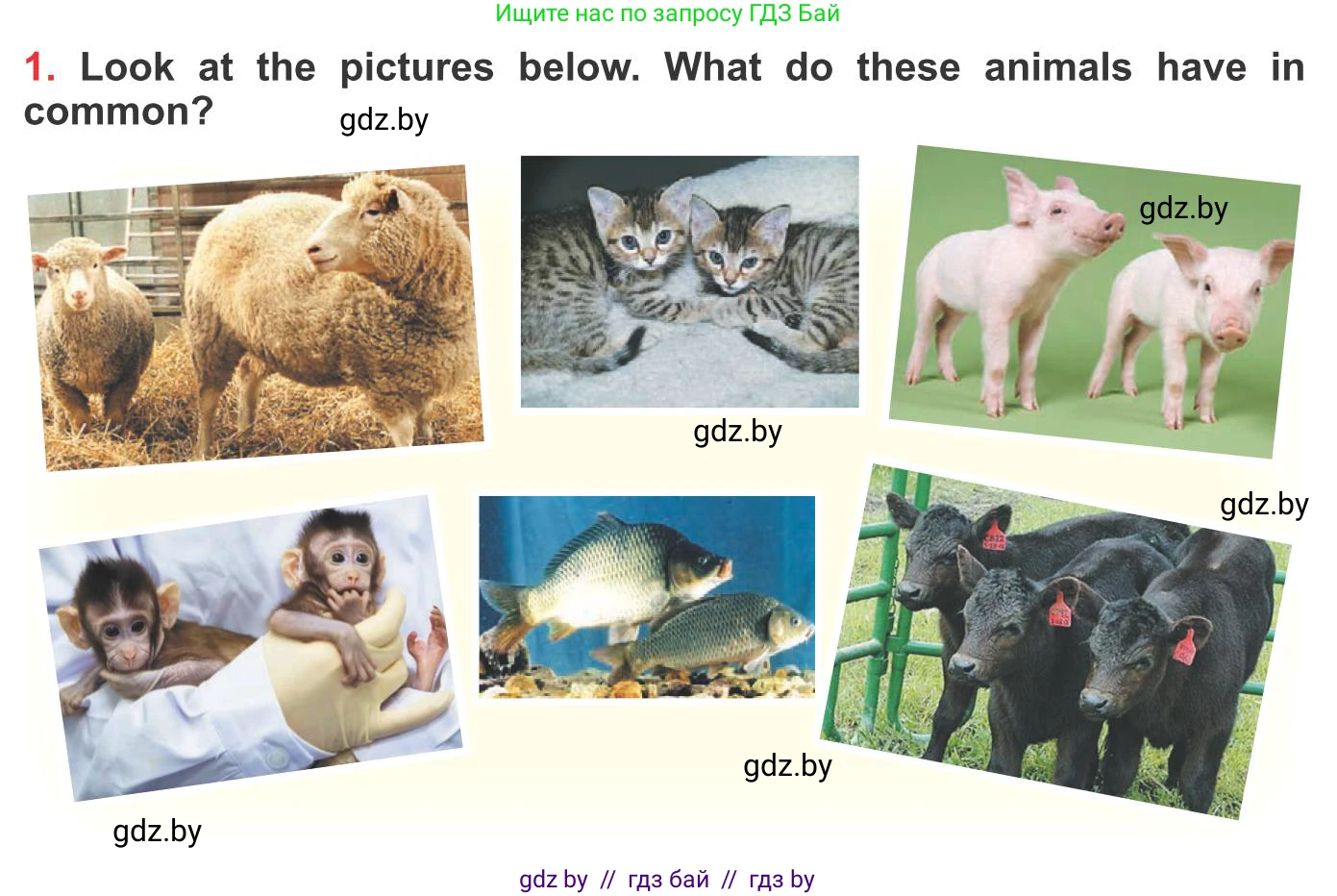 Английский язык (english), 10 класс Учебник (Student's book), авторы: Юхнель Наталья Валентиновна, Наумова Елена Георгиевна, Демченко Наталья Валентиновна, издательство Вышэйшая школа, Минск, 2019, страница 180, номер 1, Условие