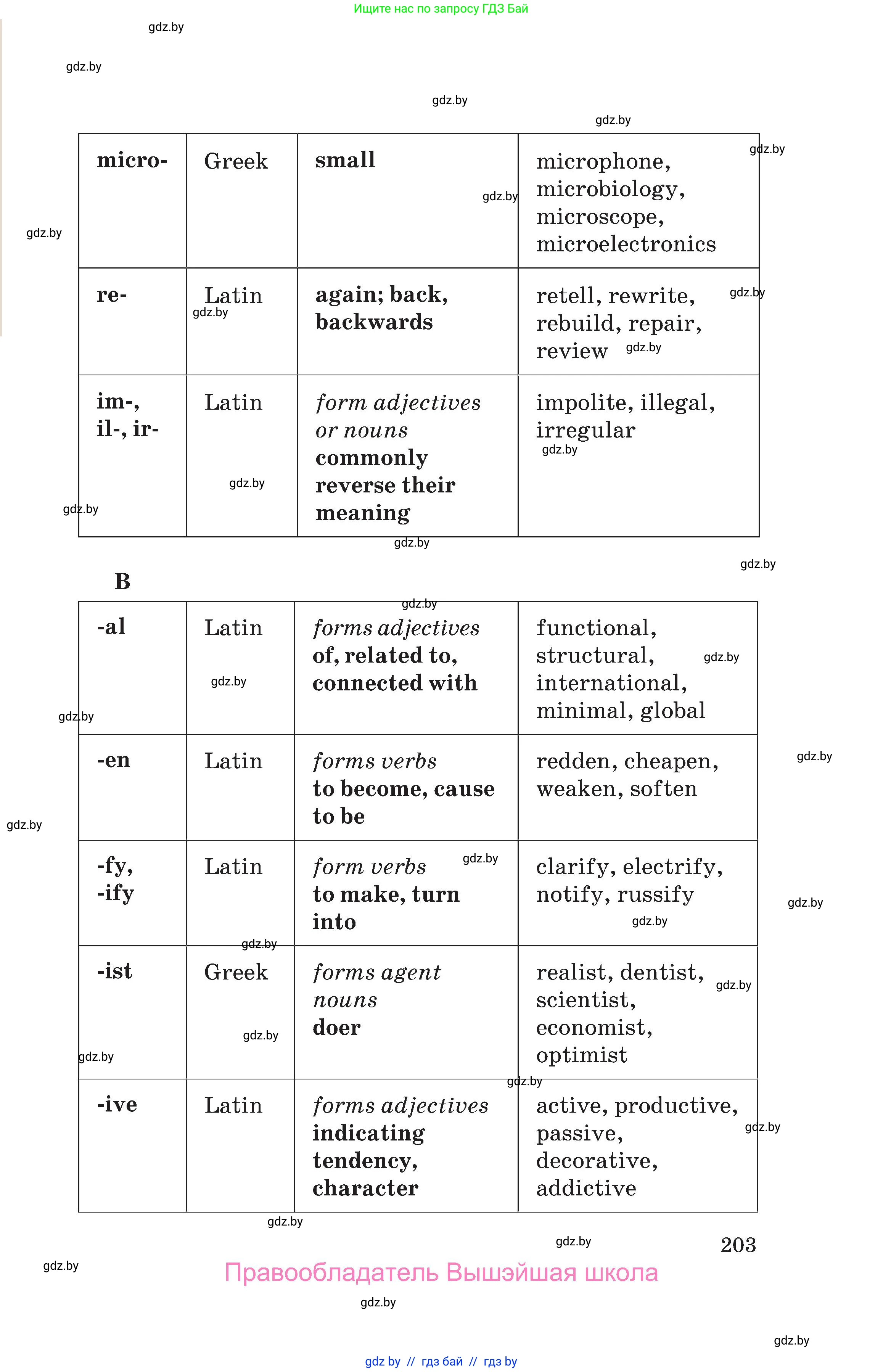 Английский язык (english), 10 класс Учебник (Student's book), авторы: Юхнель Наталья Валентиновна, Наумова Елена Георгиевна, Демченко Наталья Валентиновна, издательство Вышэйшая школа, Минск, 2019, страница 203