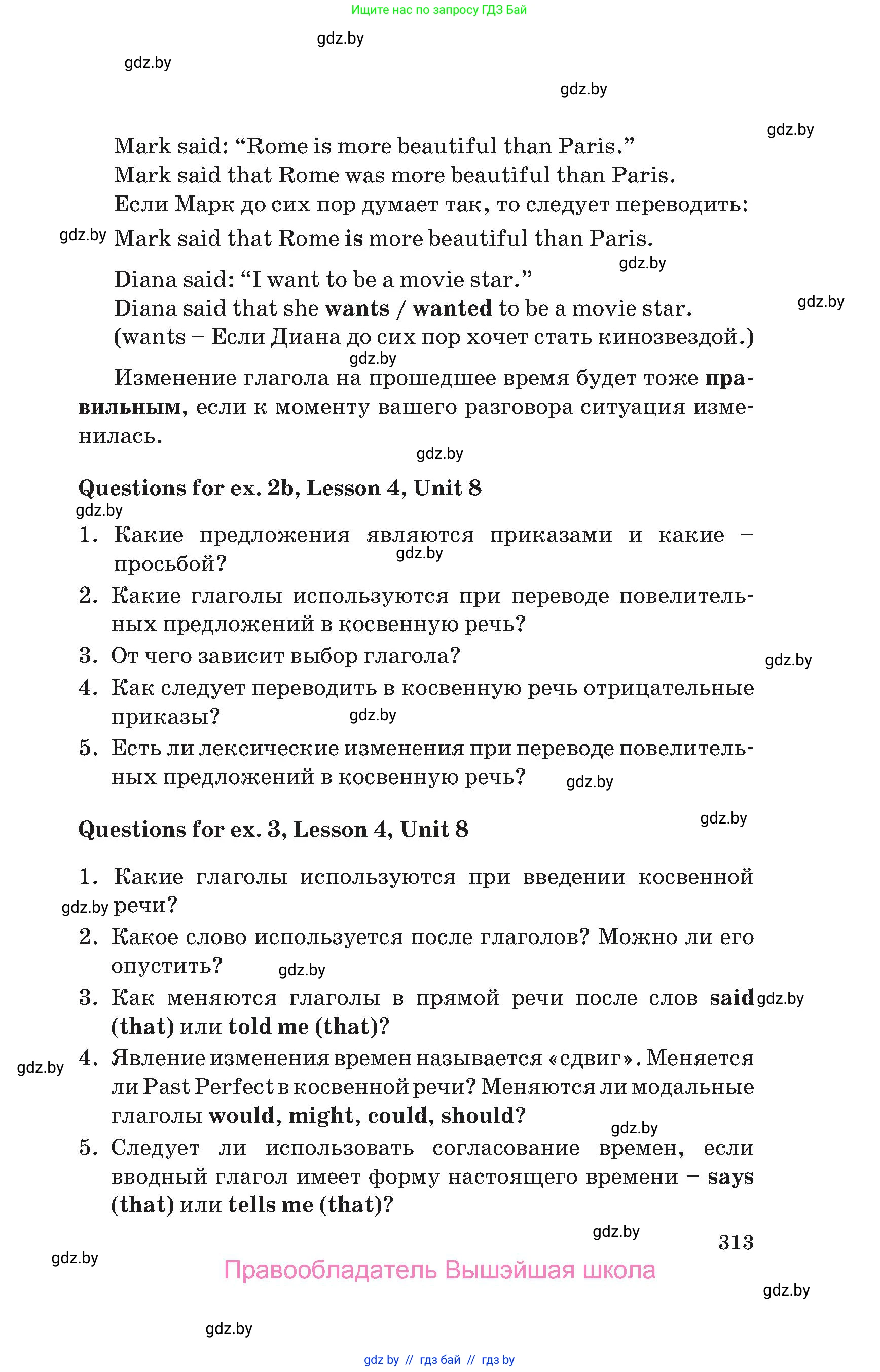 Английский язык (english), 10 класс Учебник (Student's book), авторы: Юхнель Наталья Валентиновна, Наумова Елена Георгиевна, Демченко Наталья Валентиновна, издательство Вышэйшая школа, Минск, 2019, страница 313