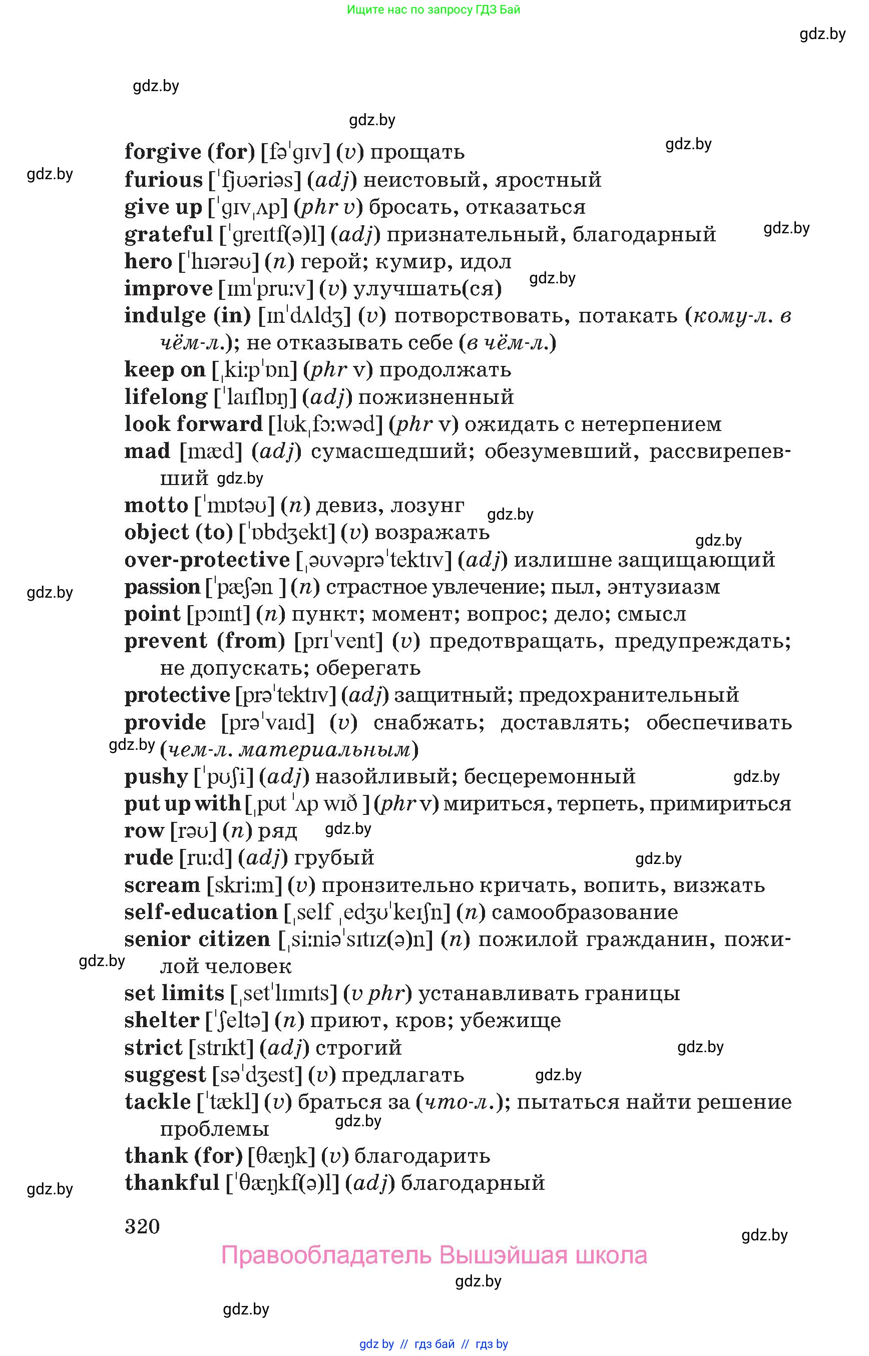 Английский язык (english), 10 класс Учебник (Student's book), авторы: Юхнель Наталья Валентиновна, Наумова Елена Георгиевна, Демченко Наталья Валентиновна, издательство Вышэйшая школа, Минск, 2019, страница 320