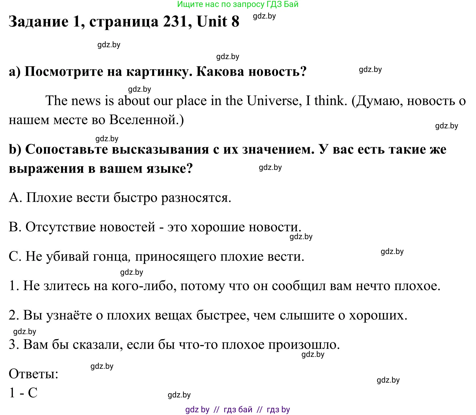 Английский язык (english), 10 класс Учебник (Student's book), авторы: Юхнель Наталья Валентиновна, Наумова Елена Георгиевна, Демченко Наталья Валентиновна, издательство Вышэйшая школа, Минск, 2019, страница 231, номер 1, Решение
