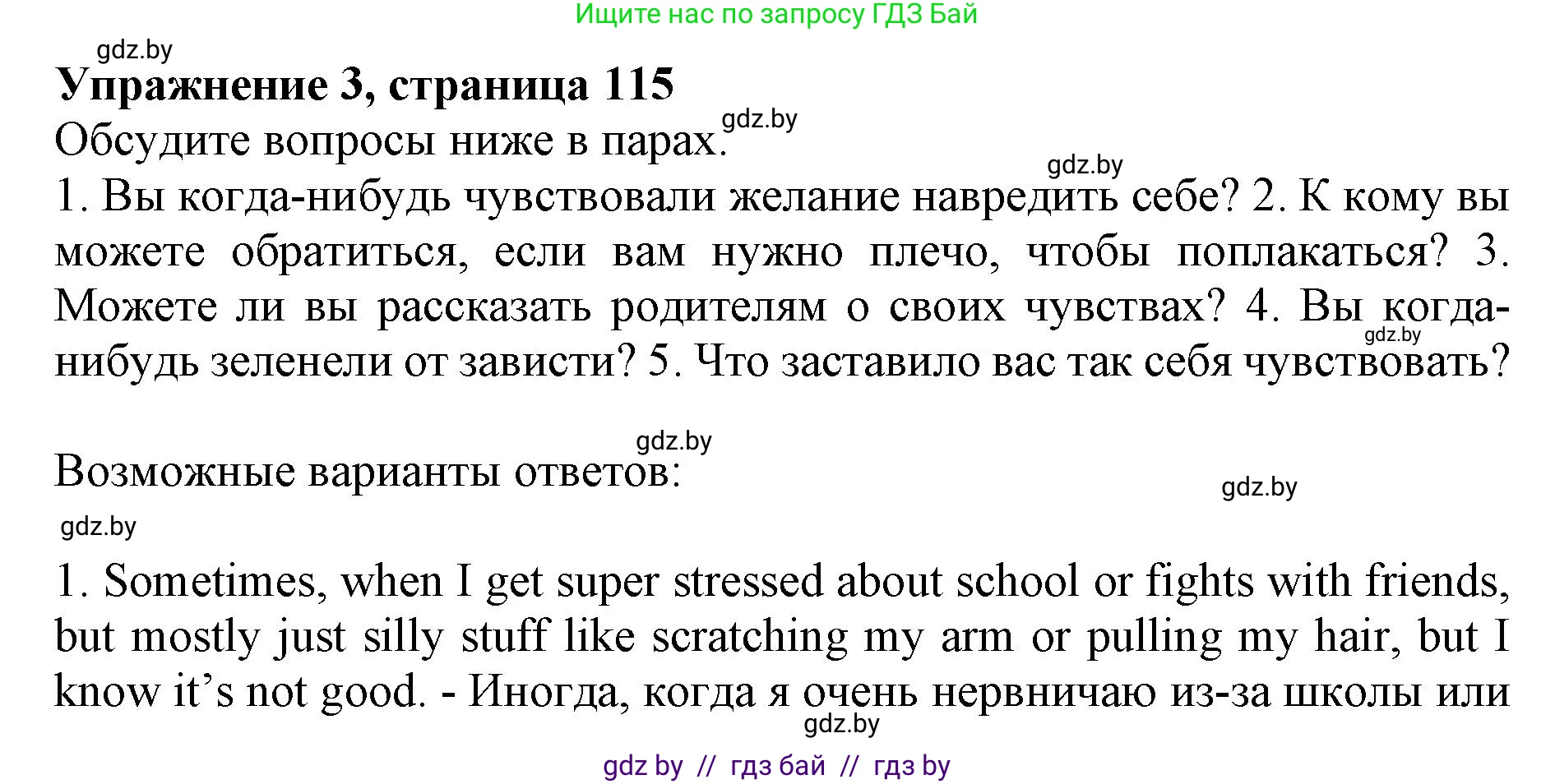 Английский язык (english), 10 класс Учебник (Student's book), авторы: Юхнель Наталья Валентиновна, Наумова Елена Георгиевна, Демченко Наталья Валентиновна, издательство Вышэйшая школа, Минск, 2019, страница 115, номер 3, Решение 2