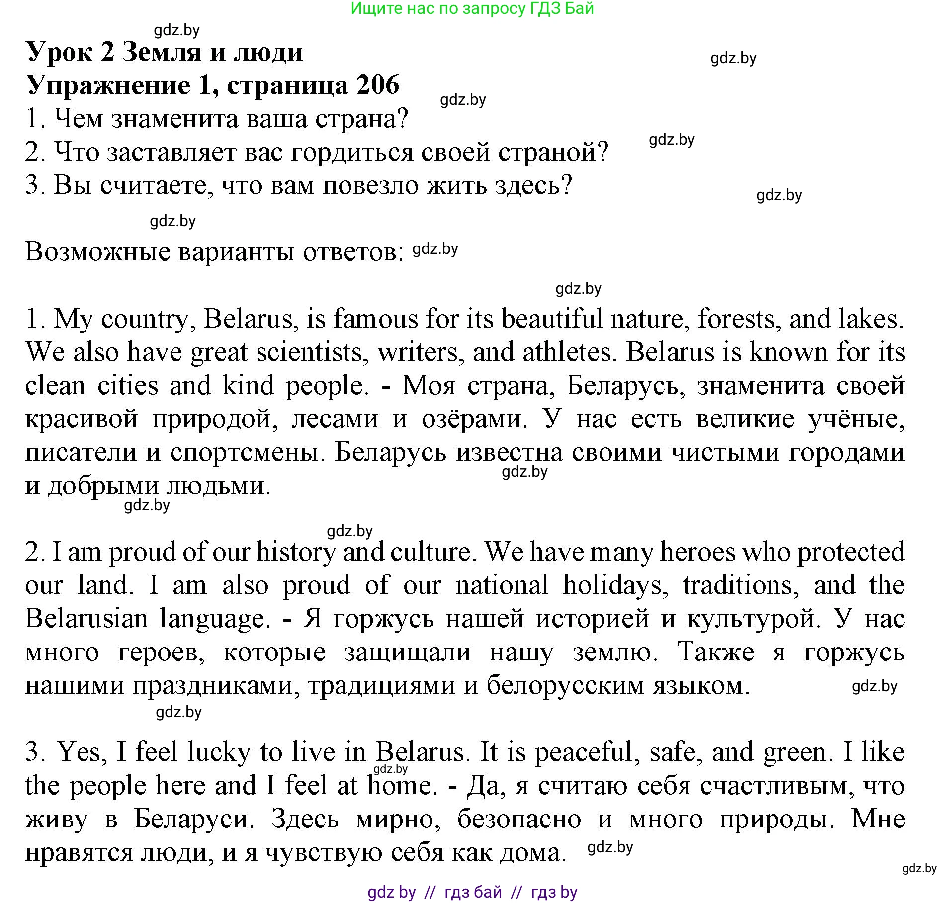 Английский язык (english), 10 класс Учебник (Student's book), авторы: Юхнель Наталья Валентиновна, Наумова Елена Георгиевна, Демченко Наталья Валентиновна, издательство Вышэйшая школа, Минск, 2019, страница 206, номер 1, Решение 2