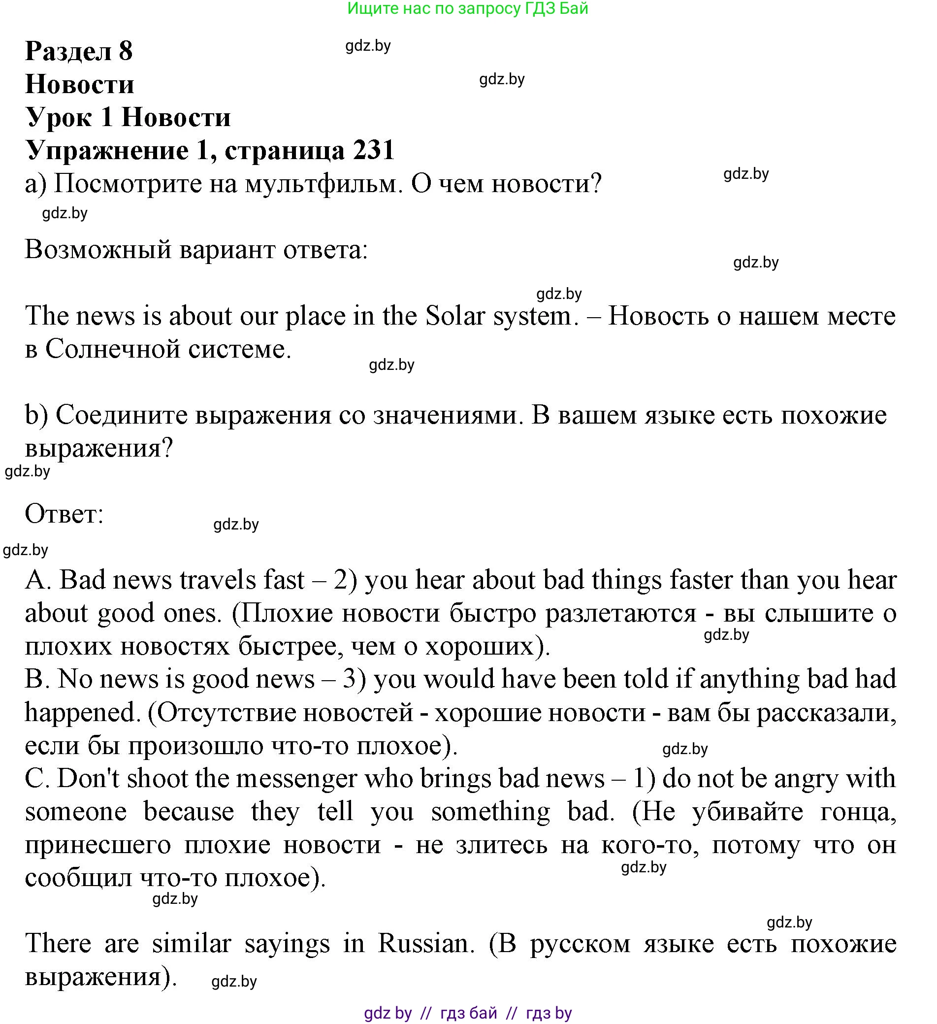 Английский язык (english), 10 класс Учебник (Student's book), авторы: Юхнель Наталья Валентиновна, Наумова Елена Георгиевна, Демченко Наталья Валентиновна, издательство Вышэйшая школа, Минск, 2019, страница 231, номер 1, Решение 2