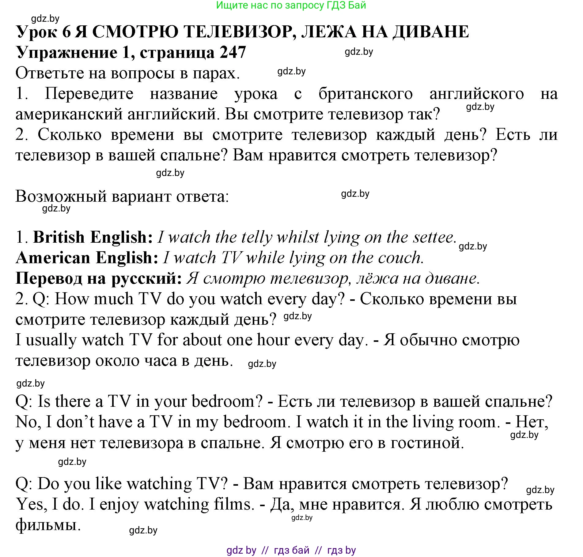 Английский язык (english), 10 класс Учебник (Student's book), авторы: Юхнель Наталья Валентиновна, Наумова Елена Георгиевна, Демченко Наталья Валентиновна, издательство Вышэйшая школа, Минск, 2019, страница 247, номер 1, Решение 2
