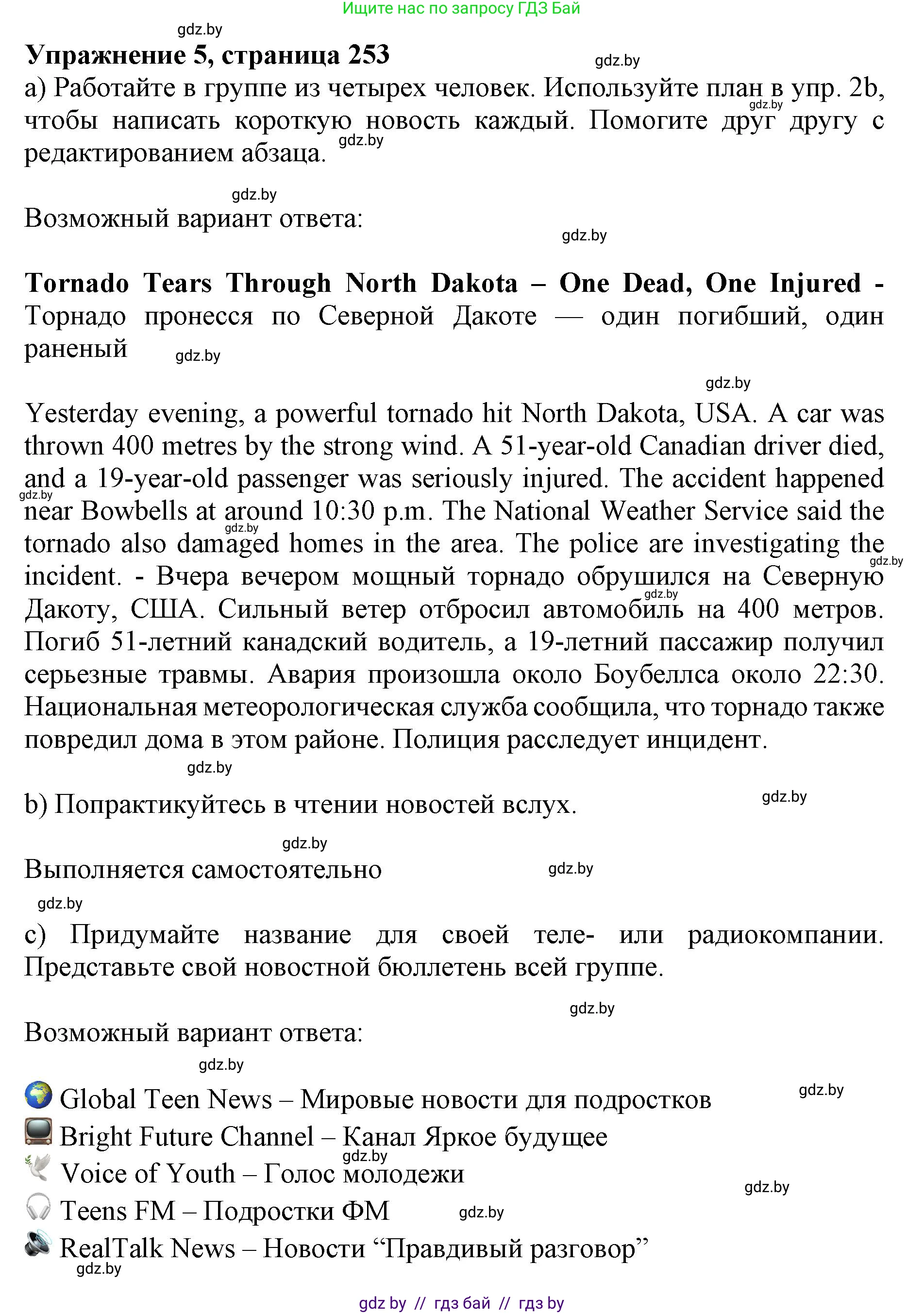 Английский язык (english), 10 класс Учебник (Student's book), авторы: Юхнель Наталья Валентиновна, Наумова Елена Георгиевна, Демченко Наталья Валентиновна, издательство Вышэйшая школа, Минск, 2019, страница 253, номер 5, Решение 2