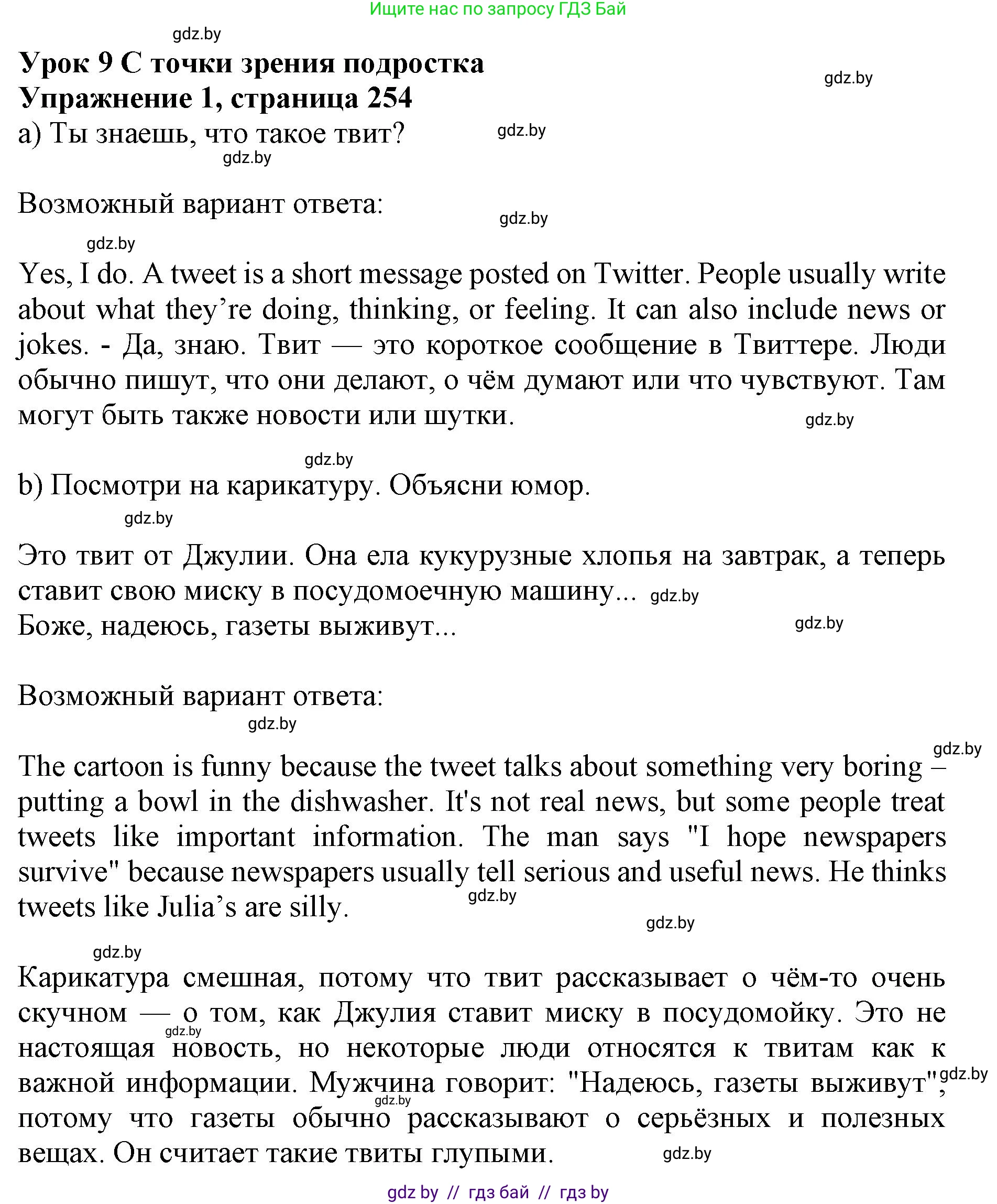 Английский язык (english), 10 класс Учебник (Student's book), авторы: Юхнель Наталья Валентиновна, Наумова Елена Георгиевна, Демченко Наталья Валентиновна, издательство Вышэйшая школа, Минск, 2019, страница 254, номер 1, Решение 2