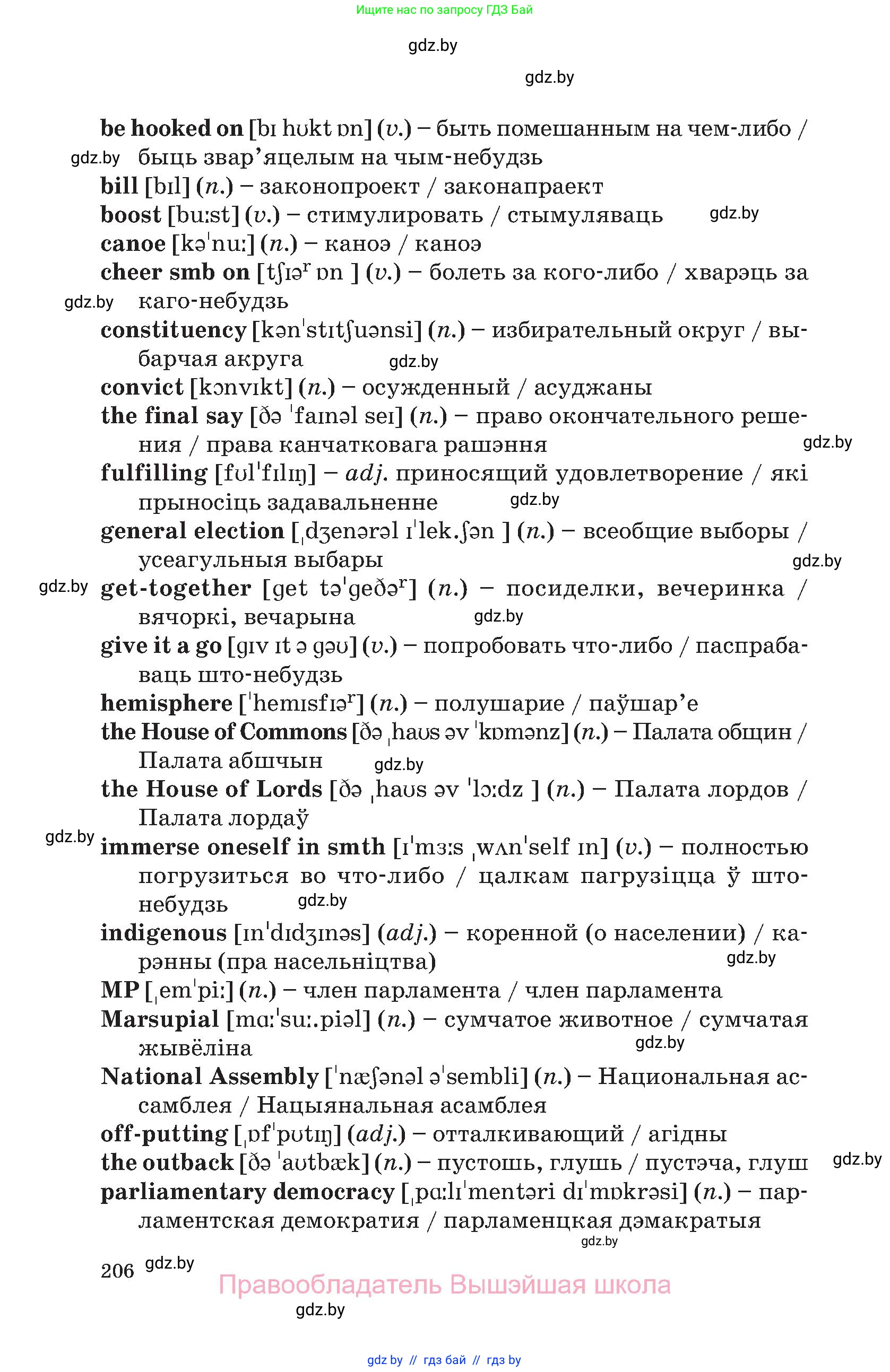 Английский язык (english), 11 класс Учебник (Student's book), авторы: Демченко Наталья Валентиновна, Бушуева Эдите Владиславовна, Севрюкова Татьяна Юрьевна, Лапицкая Людмила Михайловна (Lapitskaya Ludmila), Романчук Вероника Романовна, издательство Вышэйшая школа, Минск, 2022, розового цвета, страница 206