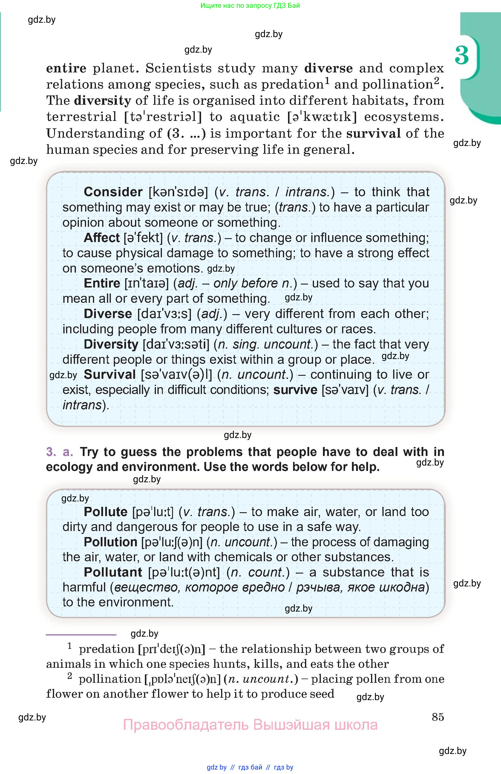 Английский язык (english), 11 класс Учебник (Student's book), авторы: Демченко Наталья Валентиновна, Бушуева Эдите Владиславовна, Севрюкова Татьяна Юрьевна, Лапицкая Людмила Михайловна (Lapitskaya Ludmila), Романчук Вероника Романовна, издательство Вышэйшая школа, Минск, 2022, розового цвета, Часть ( Part) 1, страница 85