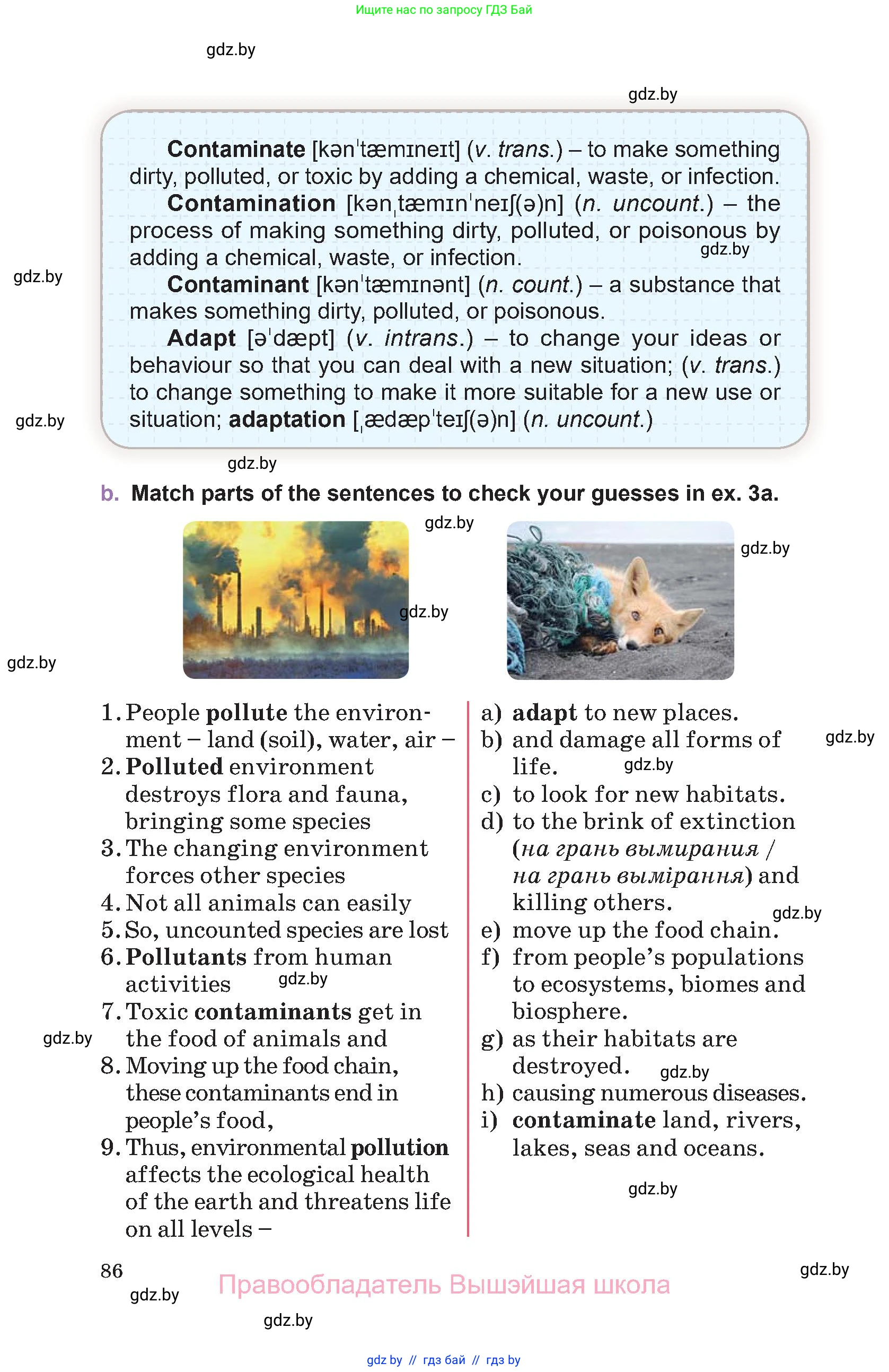Английский язык (english), 11 класс Учебник (Student's book), авторы: Демченко Наталья Валентиновна, Бушуева Эдите Владиславовна, Севрюкова Татьяна Юрьевна, Лапицкая Людмила Михайловна (Lapitskaya Ludmila), Романчук Вероника Романовна, издательство Вышэйшая школа, Минск, 2022, розового цвета, страница 86