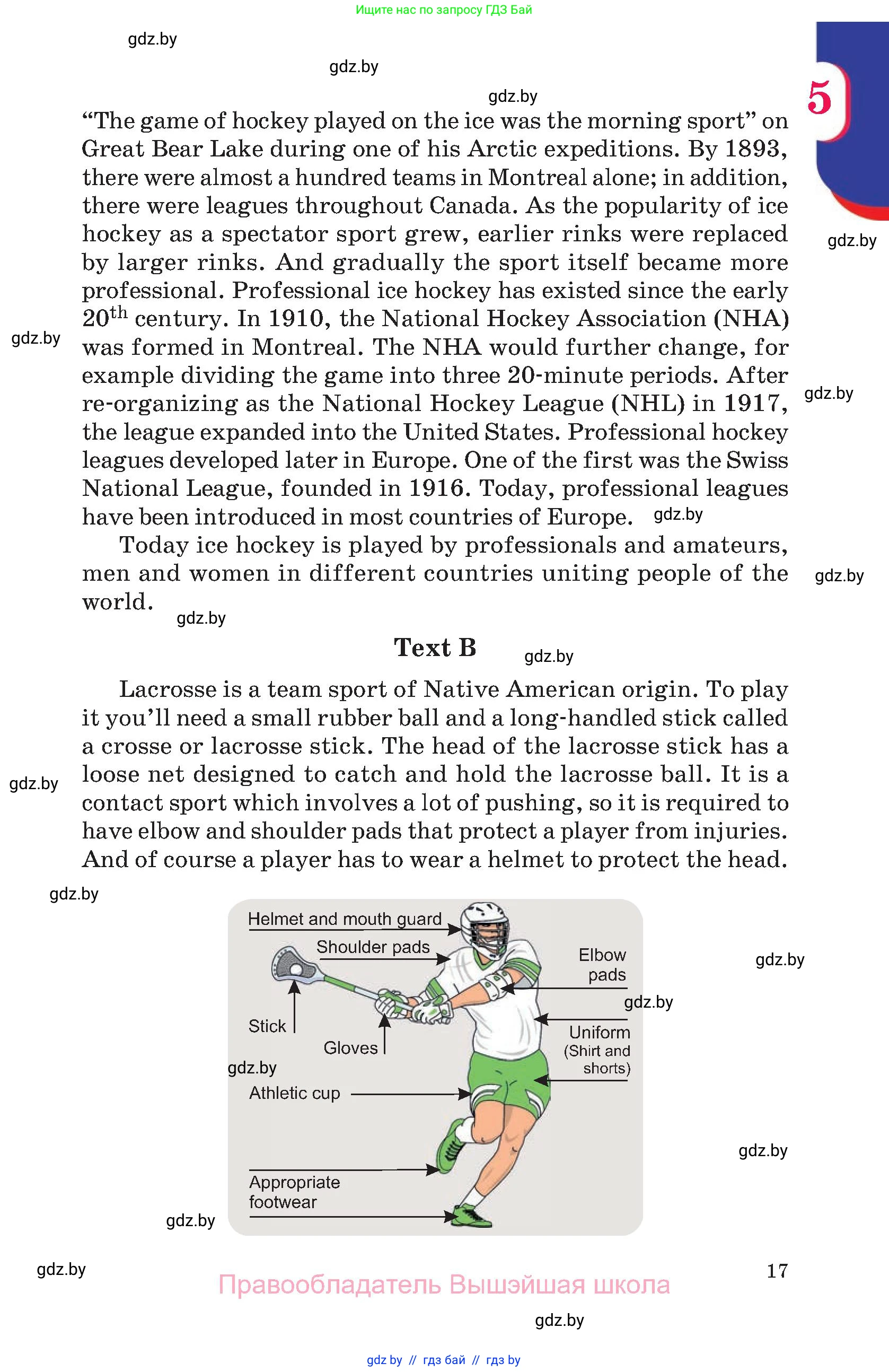 Английский язык (english), 11 класс Учебник (Student's book), авторы: Демченко Наталья Валентиновна, Бушуева Эдите Владиславовна, Севрюкова Татьяна Юрьевна, Лапицкая Людмила Михайловна (Lapitskaya Ludmila), Романчук Вероника Романовна, издательство Вышэйшая школа, Минск, 2022, розового цвета, страница 17