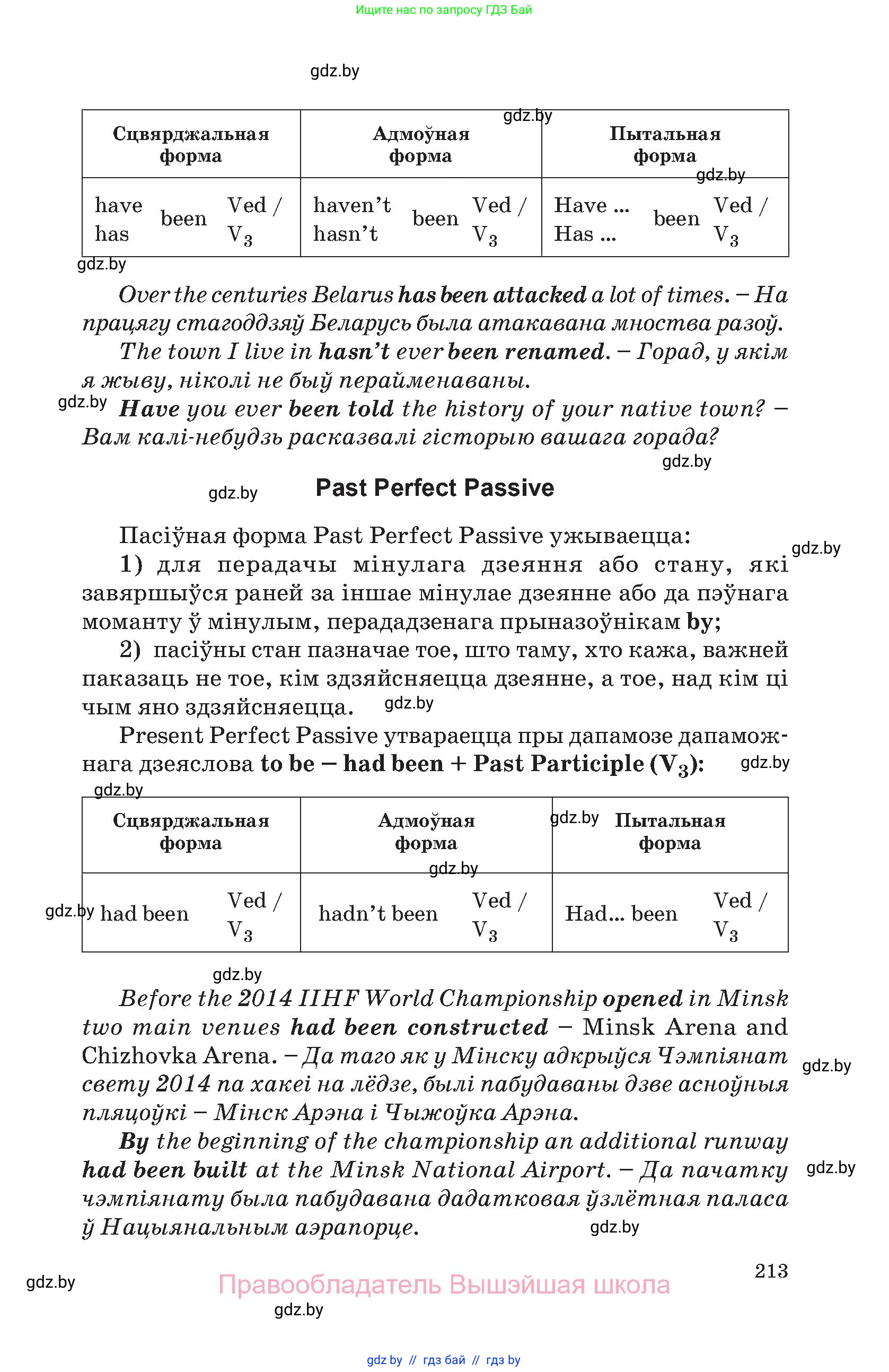 Английский язык (english), 11 класс Учебник (Student's book), авторы: Демченко Наталья Валентиновна, Бушуева Эдите Владиславовна, Севрюкова Татьяна Юрьевна, Лапицкая Людмила Михайловна (Lapitskaya Ludmila), Романчук Вероника Романовна, издательство Вышэйшая школа, Минск, 2022, розового цвета, страница 213