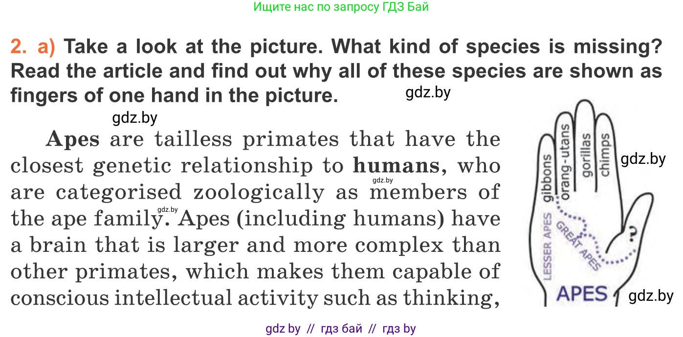 Английский язык (english), 11 класс Учебник (Student's book), авторы: Юхнель Наталья Валентиновна, Демченко Наталья Валентиновна, Романчук Вероника Романовна, Малиновская Елена Александровна, Севрюкова Татьяна Юрьевна, Бушуева Эдите Владиславовна, Наумова Елена Георгиевна, Яковчиц Т Н, издательство Вышэйшая школа, Минск, 2021, бирюзового цвета, страница 66, номер 2, Условие