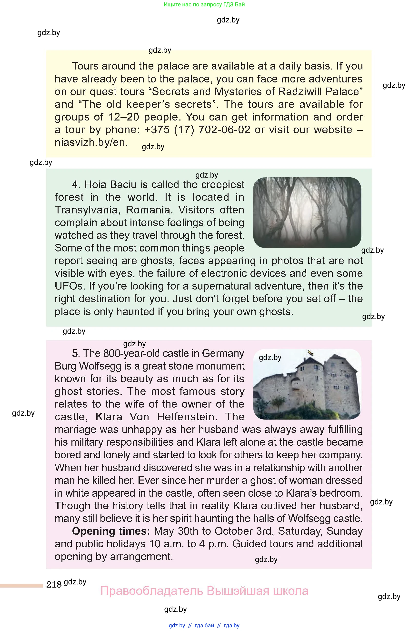 Английский язык (english), 11 класс Учебник (Student's book), авторы: Юхнель Наталья Валентиновна, Демченко Наталья Валентиновна, Романчук Вероника Романовна, Малиновская Елена Александровна, Севрюкова Татьяна Юрьевна, Бушуева Эдите Владиславовна, Наумова Елена Георгиевна, Яковчиц Т Н, издательство Вышэйшая школа, Минск, 2021, бирюзового цвета, страница 218