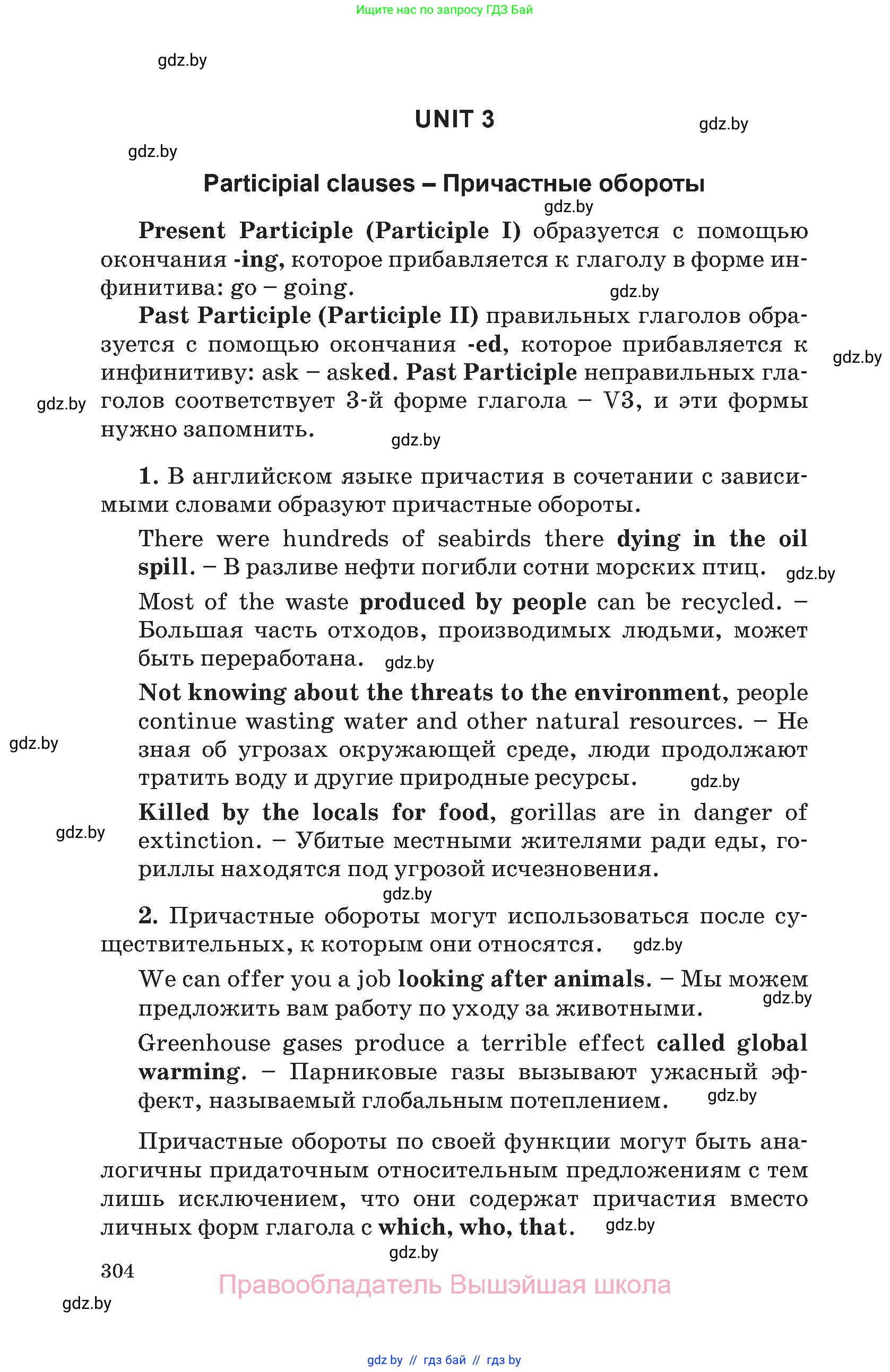 Английский язык (english), 11 класс Учебник (Student's book), авторы: Юхнель Наталья Валентиновна, Демченко Наталья Валентиновна, Романчук Вероника Романовна, Малиновская Елена Александровна, Севрюкова Татьяна Юрьевна, Бушуева Эдите Владиславовна, Наумова Елена Георгиевна, Яковчиц Т Н, издательство Вышэйшая школа, Минск, 2021, бирюзового цвета, страница 304