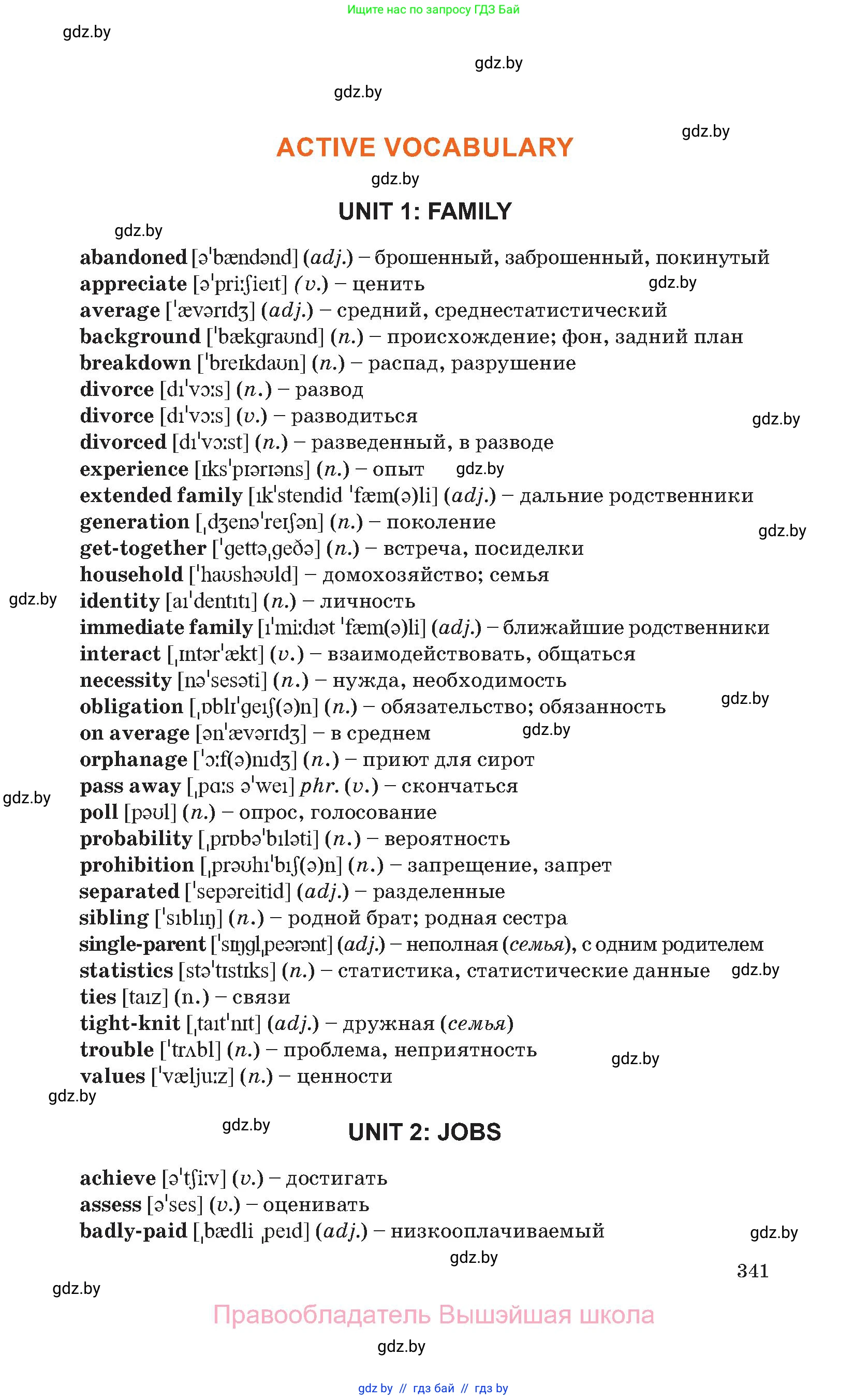 Английский язык (english), 11 класс Учебник (Student's book), авторы: Юхнель Наталья Валентиновна, Демченко Наталья Валентиновна, Романчук Вероника Романовна, Малиновская Елена Александровна, Севрюкова Татьяна Юрьевна, Бушуева Эдите Владиславовна, Наумова Елена Георгиевна, Яковчиц Т Н, издательство Вышэйшая школа, Минск, 2021, бирюзового цвета, страница 341
