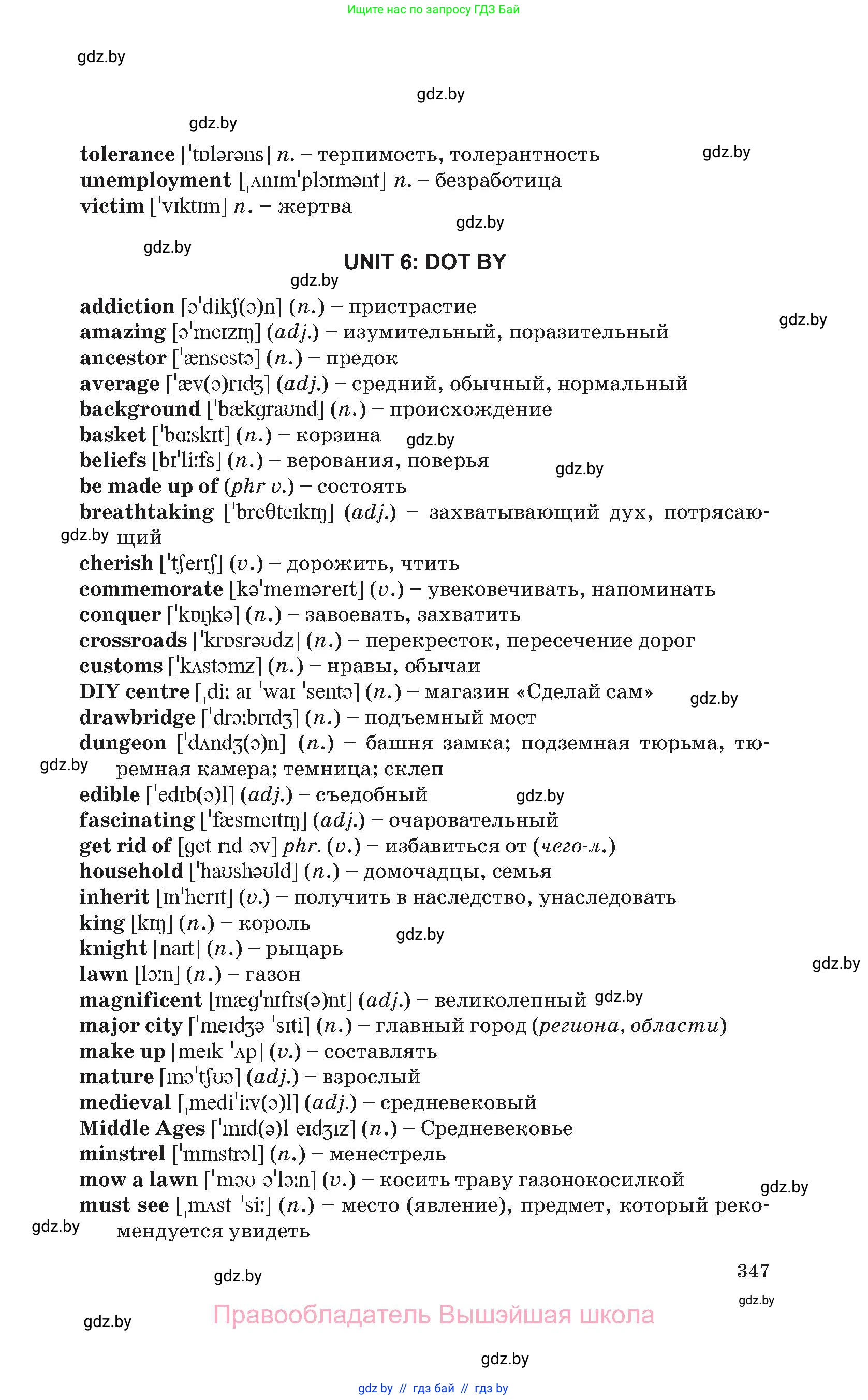 Английский язык (english), 11 класс Учебник (Student's book), авторы: Юхнель Наталья Валентиновна, Демченко Наталья Валентиновна, Романчук Вероника Романовна, Малиновская Елена Александровна, Севрюкова Татьяна Юрьевна, Бушуева Эдите Владиславовна, Наумова Елена Георгиевна, Яковчиц Т Н, издательство Вышэйшая школа, Минск, 2021, бирюзового цвета, страница 347