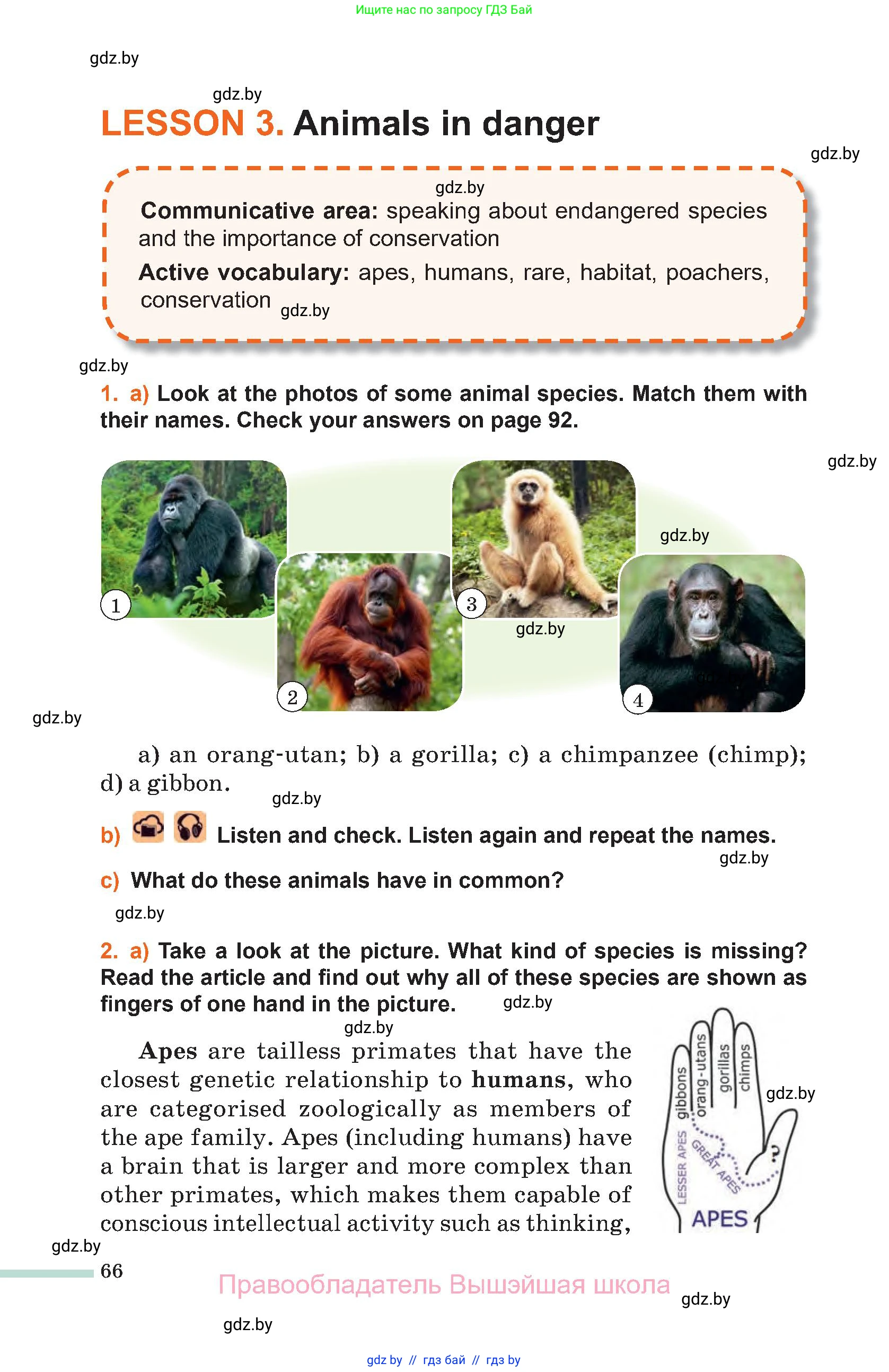 Английский язык (english), 11 класс Учебник (Student's book), авторы: Юхнель Наталья Валентиновна, Демченко Наталья Валентиновна, Романчук Вероника Романовна, Малиновская Елена Александровна, Севрюкова Татьяна Юрьевна, Бушуева Эдите Владиславовна, Наумова Елена Георгиевна, Яковчиц Т Н, издательство Вышэйшая школа, Минск, 2021, бирюзового цвета, страница 66