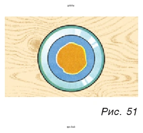 Рис. 51. Масляная пленка