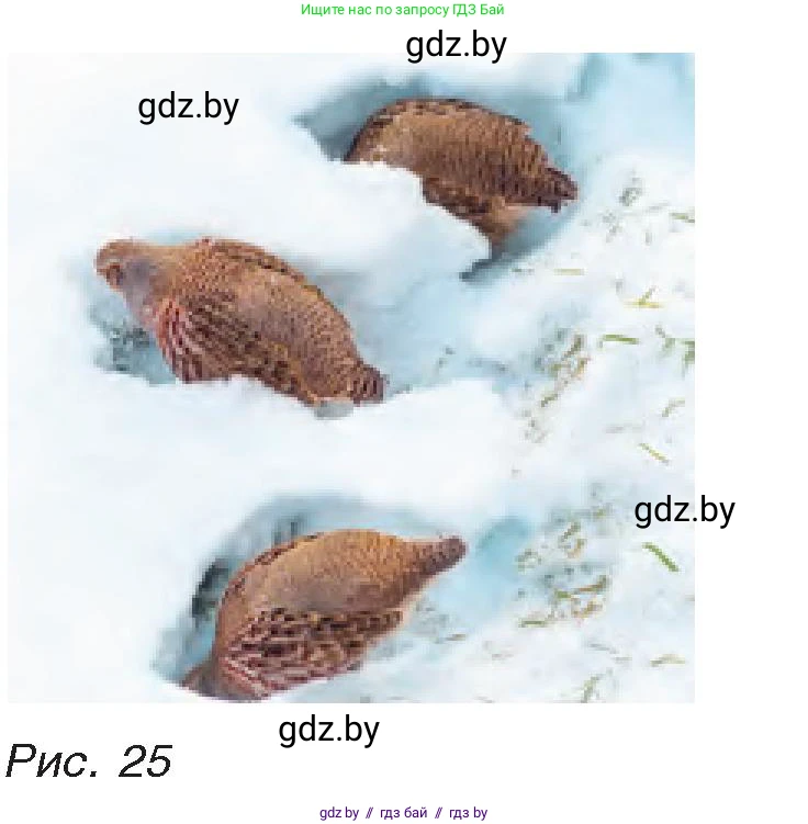 Физика, 8 класс Учебник, авторы: Исаченкова Лариса Артёмовна, Громыко Елена Владимировна, Дорофейчик Владимир Владимирович, Лещинский Юрий Дмитриевич, издательство Адукацыя i выхаванне, Минск, 2024, страница 15, номер 9, Условие (продолжение 2)