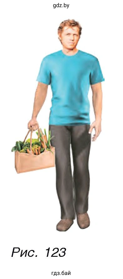 Рис. 123. Чтобы удержать сумку с продуктами, человек (рис. 123) прикладывает силу F = 50 Н.