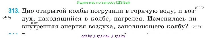 Физика, 10 класс Сборник задач, авторы: Дорофейчик Владимир Владимирович, Белая Ольга Николаевна, издательство Национальный институт образования, Минск, 2022, страница 63, номер 313, Условие