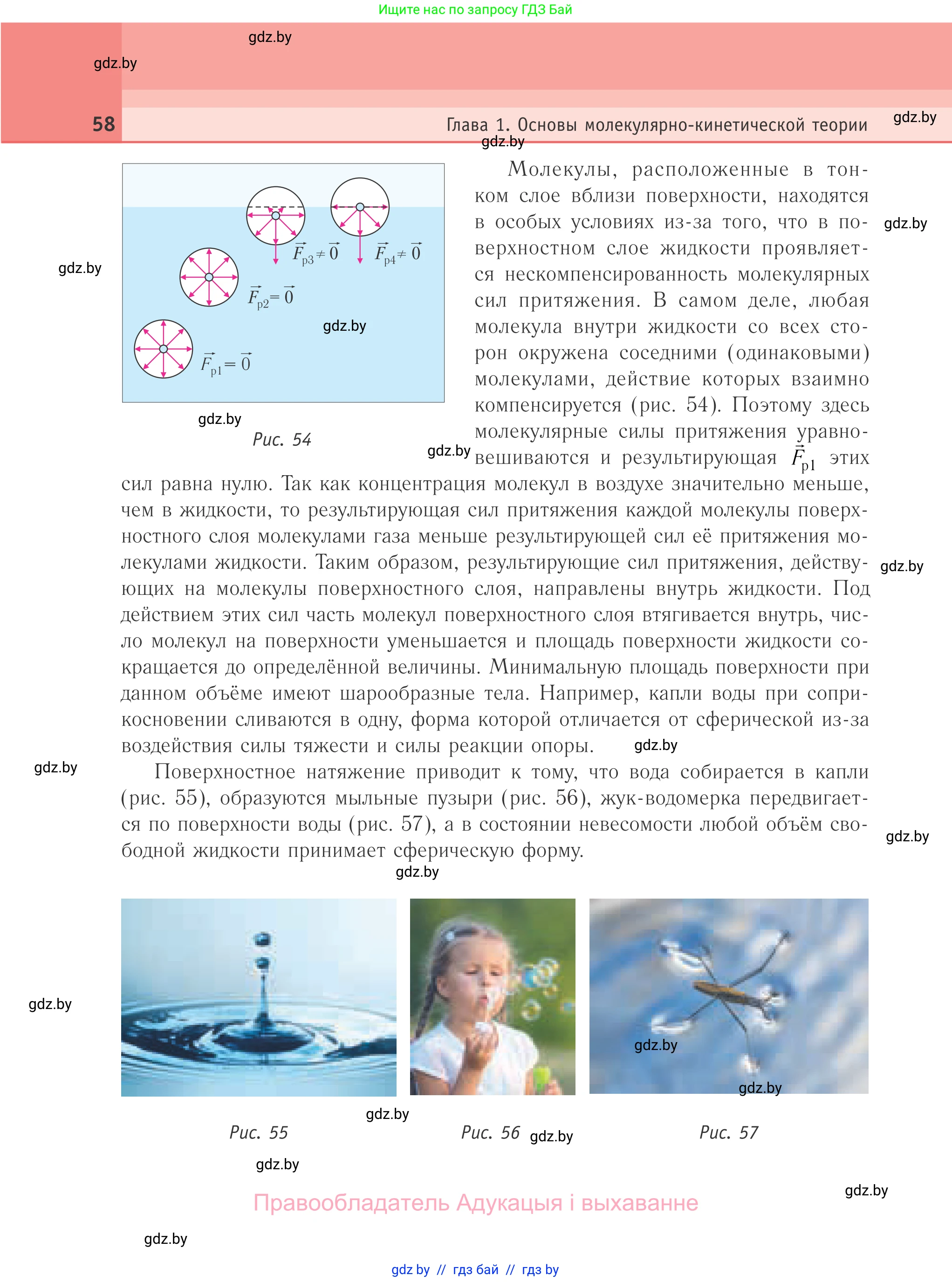 Физика, 10 класс Учебник, авторы: Громыко Елена Владимировна, Зенькович Владимир Иванович, Луцевич Александр Александрович, Слесарь Инесса Эдуардовна, издательство Адукацыя i выхаванне, Минск, 2019, бирюзового цвета, страница 58