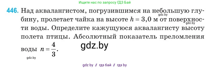 Физика, 11 класс Сборник задач, авторы: Дорофейчик Владимир Владимирович, Силенков Михаил Анатольевич, издательство Национальный институт образования, Минск, 2023, страница 136, номер 446, Условие