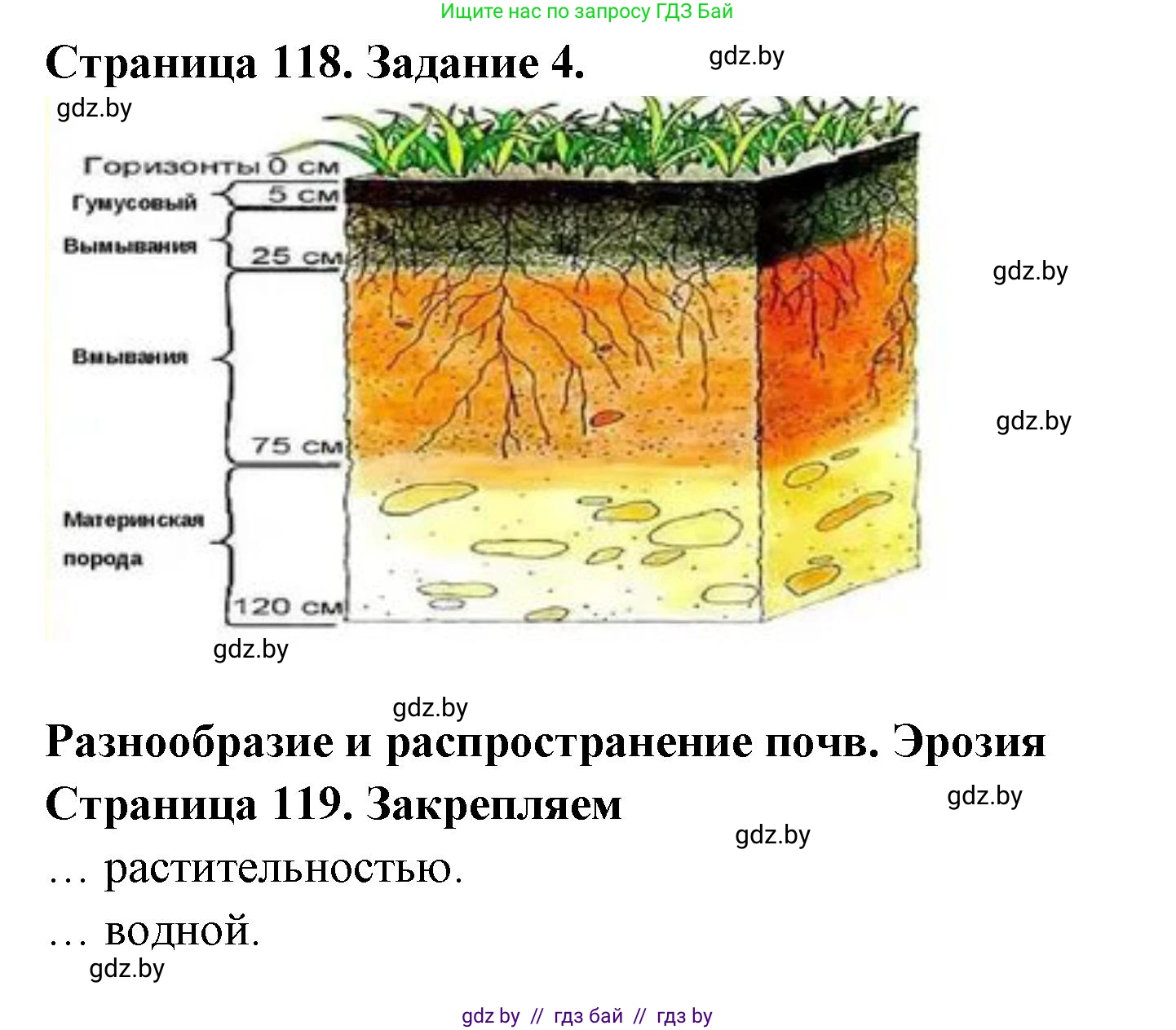 География, 6 класс рабочая тетрадь, авторы: Кольмакова Елена Генадьевна, Пикулик Валентина Владимировна, издательство Аверсэв, Минск, 2022, бирюзового цвета, страница 118, номер 4, Решение