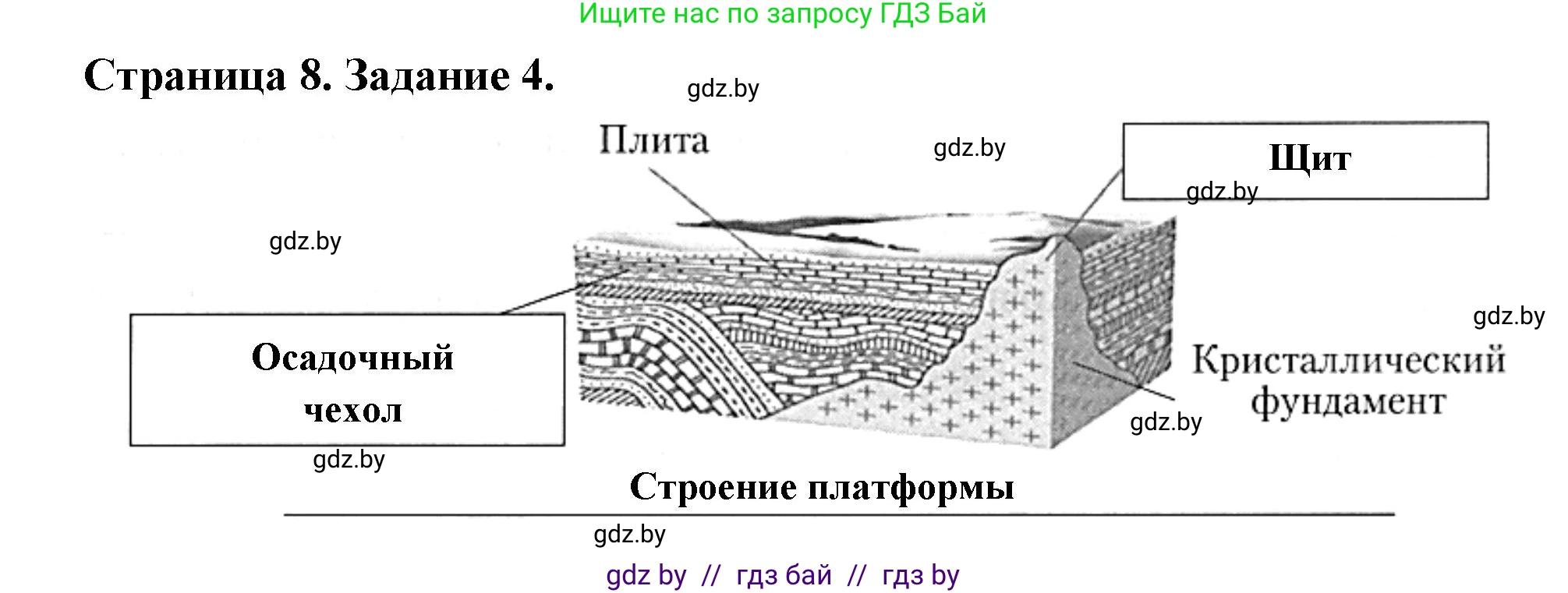 География, 7 класс рабочая тетрадь, авторы: Кольмакова Елена Генадьевна, Сарычева Ольга Владимировна, Тарасенок Елена Николаевна, издательство Аверсэв, Минск, 2024, страница 8, номер 4, Решение