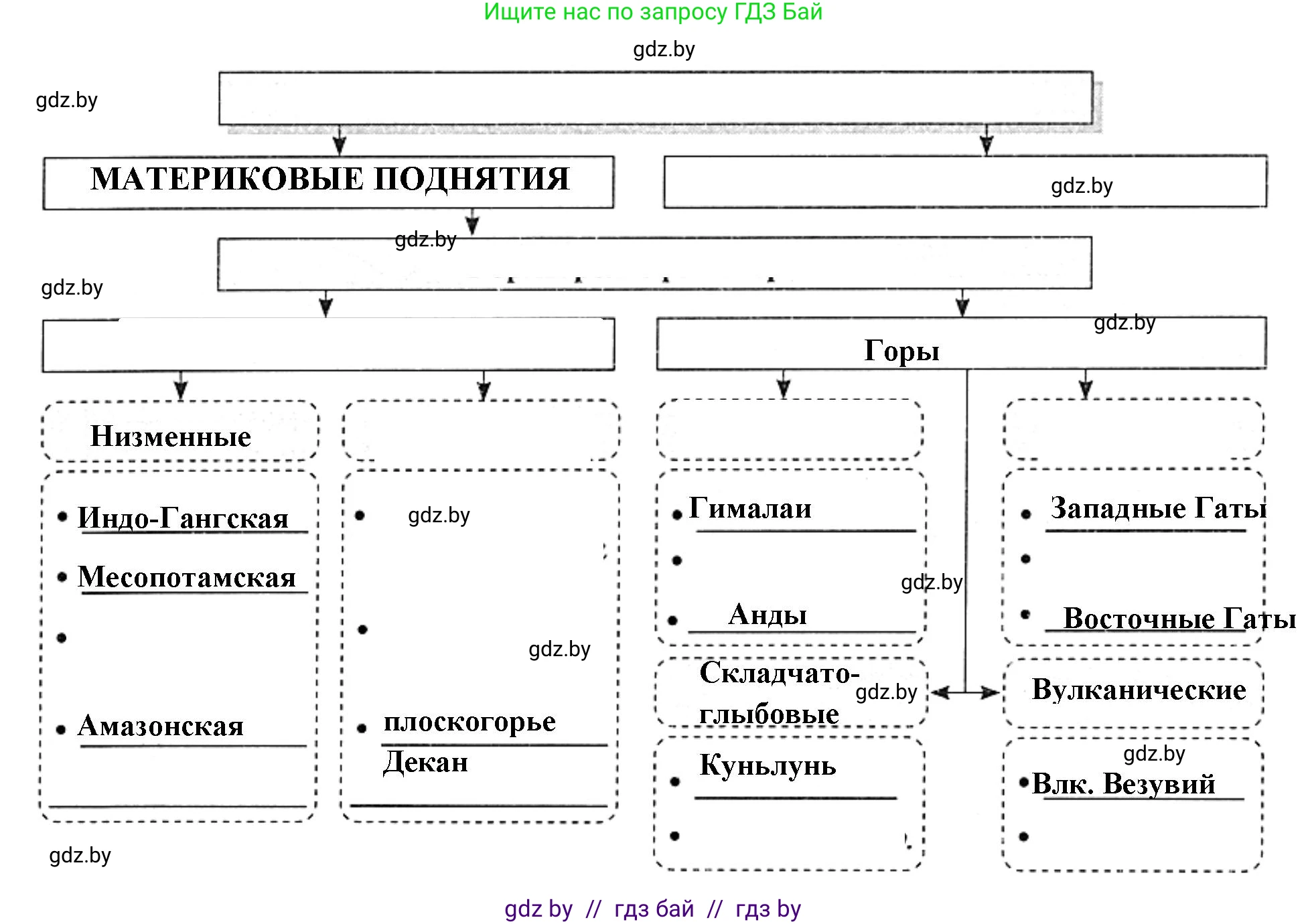 География, 7 класс рабочая тетрадь, авторы: Кольмакова Елена Генадьевна, Сарычева Ольга Владимировна, Тарасенок Елена Николаевна, издательство Аверсэв, Минск, 2024, страница 11, номер 5, Решение