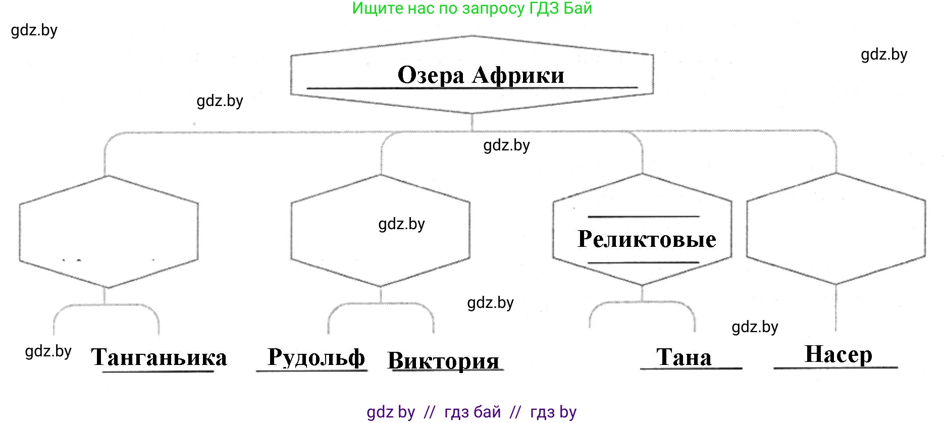 География, 7 класс рабочая тетрадь, авторы: Кольмакова Елена Генадьевна, Сарычева Ольга Владимировна, Тарасенок Елена Николаевна, издательство Аверсэв, Минск, 2024, страница 39, номер 3, Решение