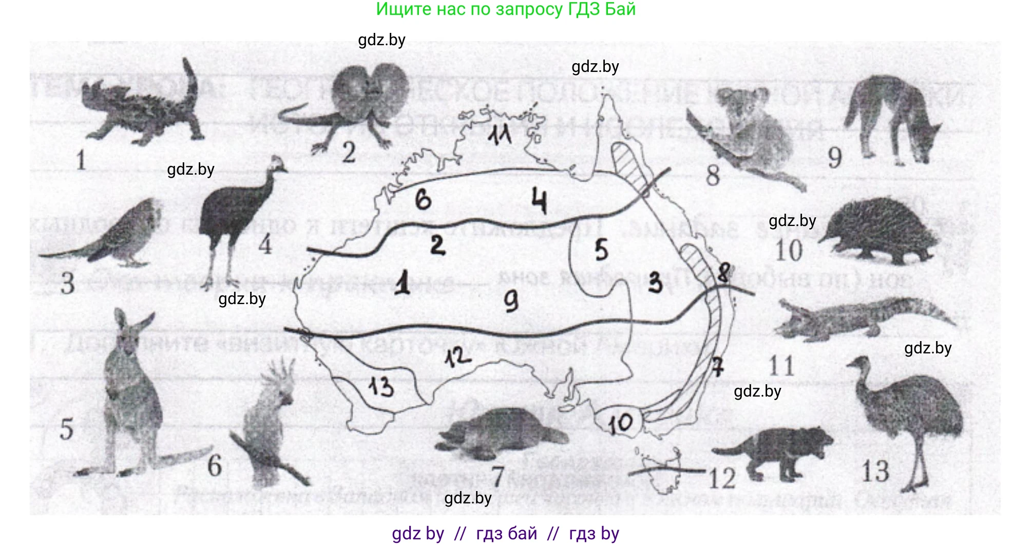 География, 7 класс рабочая тетрадь, авторы: Кольмакова Елена Генадьевна, Сарычева Ольга Владимировна, Тарасенок Елена Николаевна, издательство Аверсэв, Минск, 2024, страница 53, номер 5, Решение